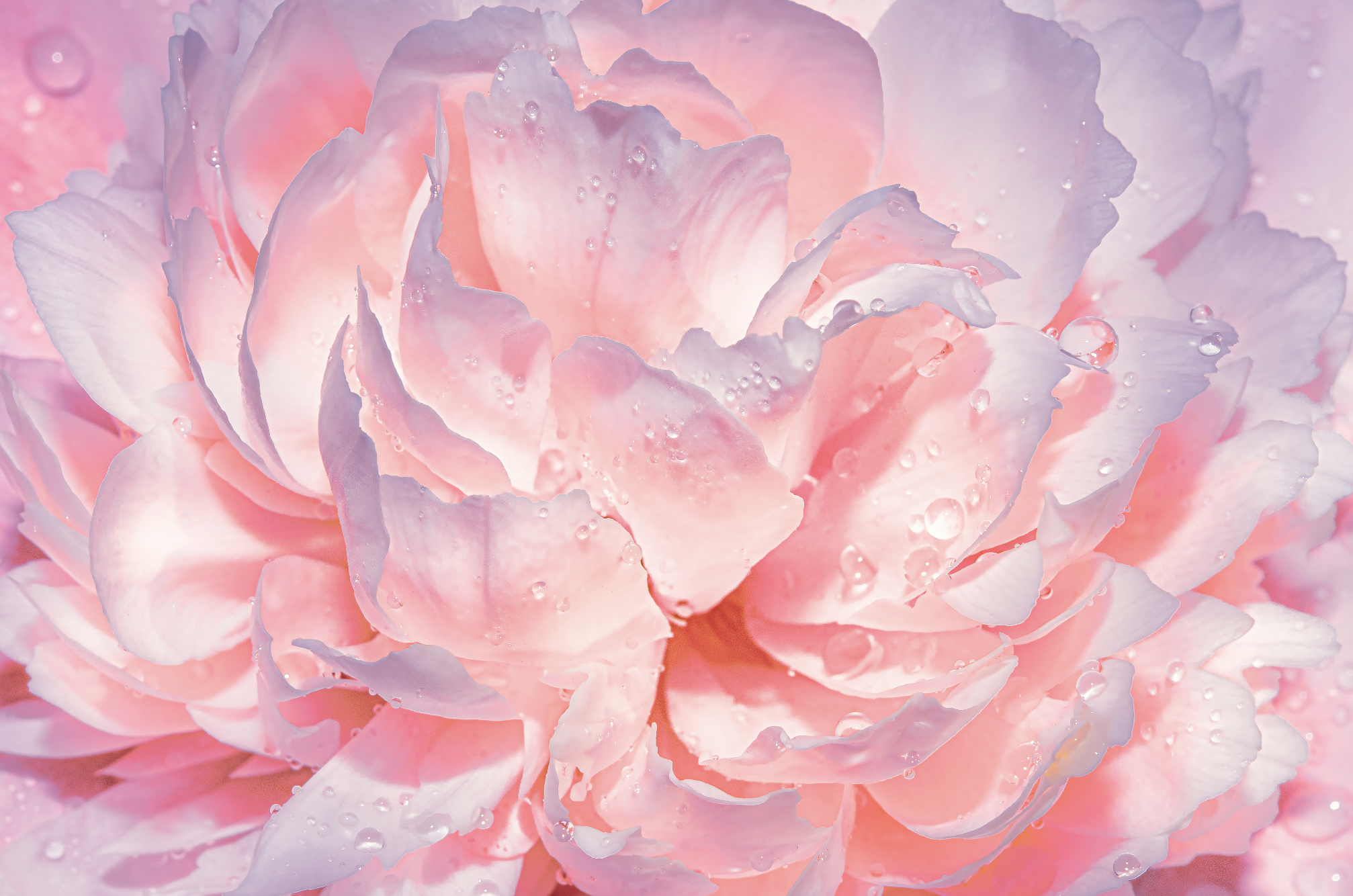 Guidance 46 by Amouage — Addictive!