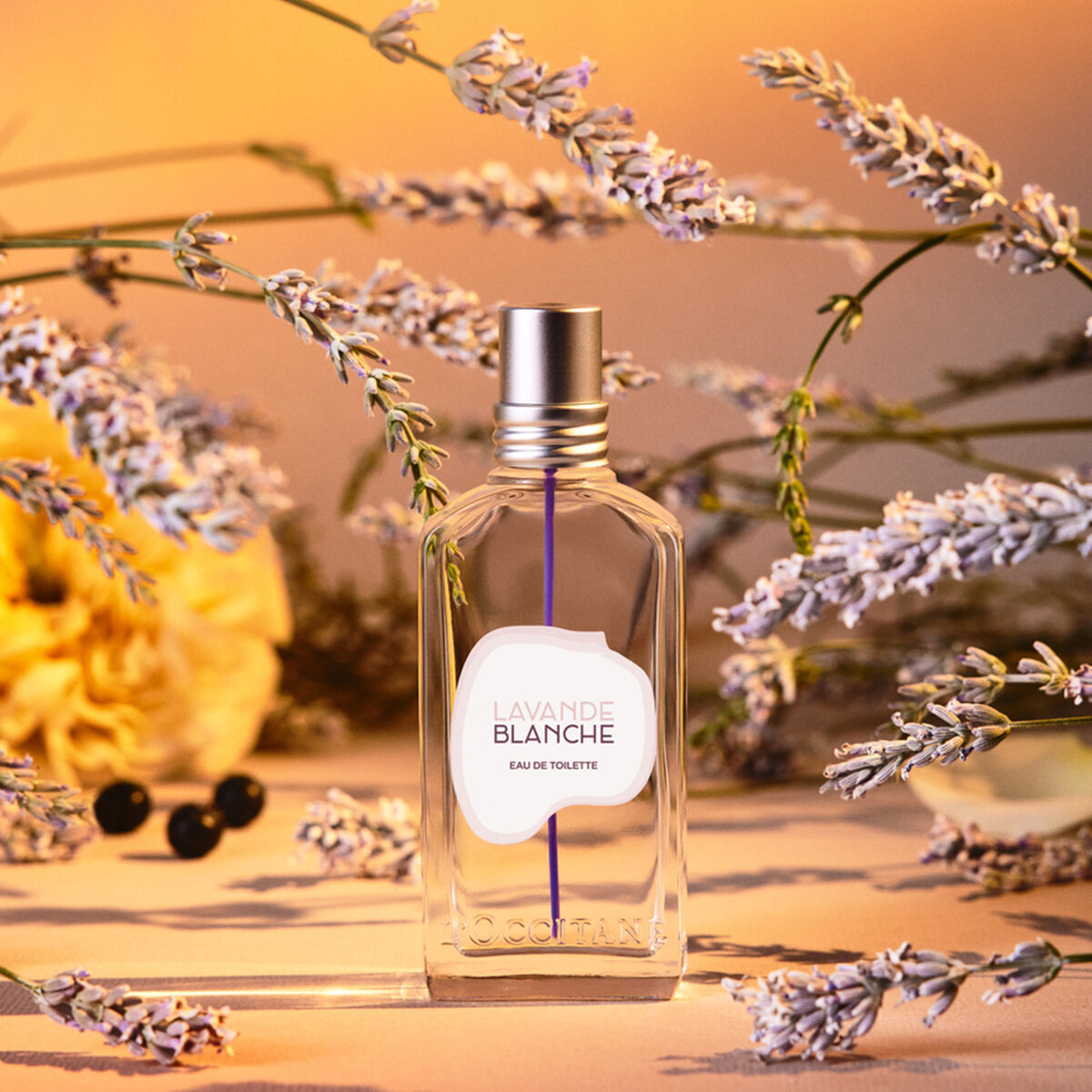 【peaceけ】LAVANDE BLANCHE Lavande Blanche Eau de Toilette | L'Occitane en Provence