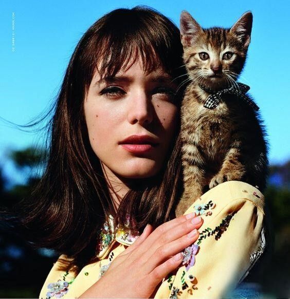 remember the cat?