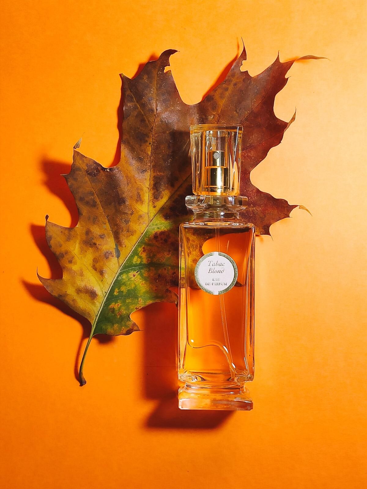 Tabac Blond by Caron fragram image taboo