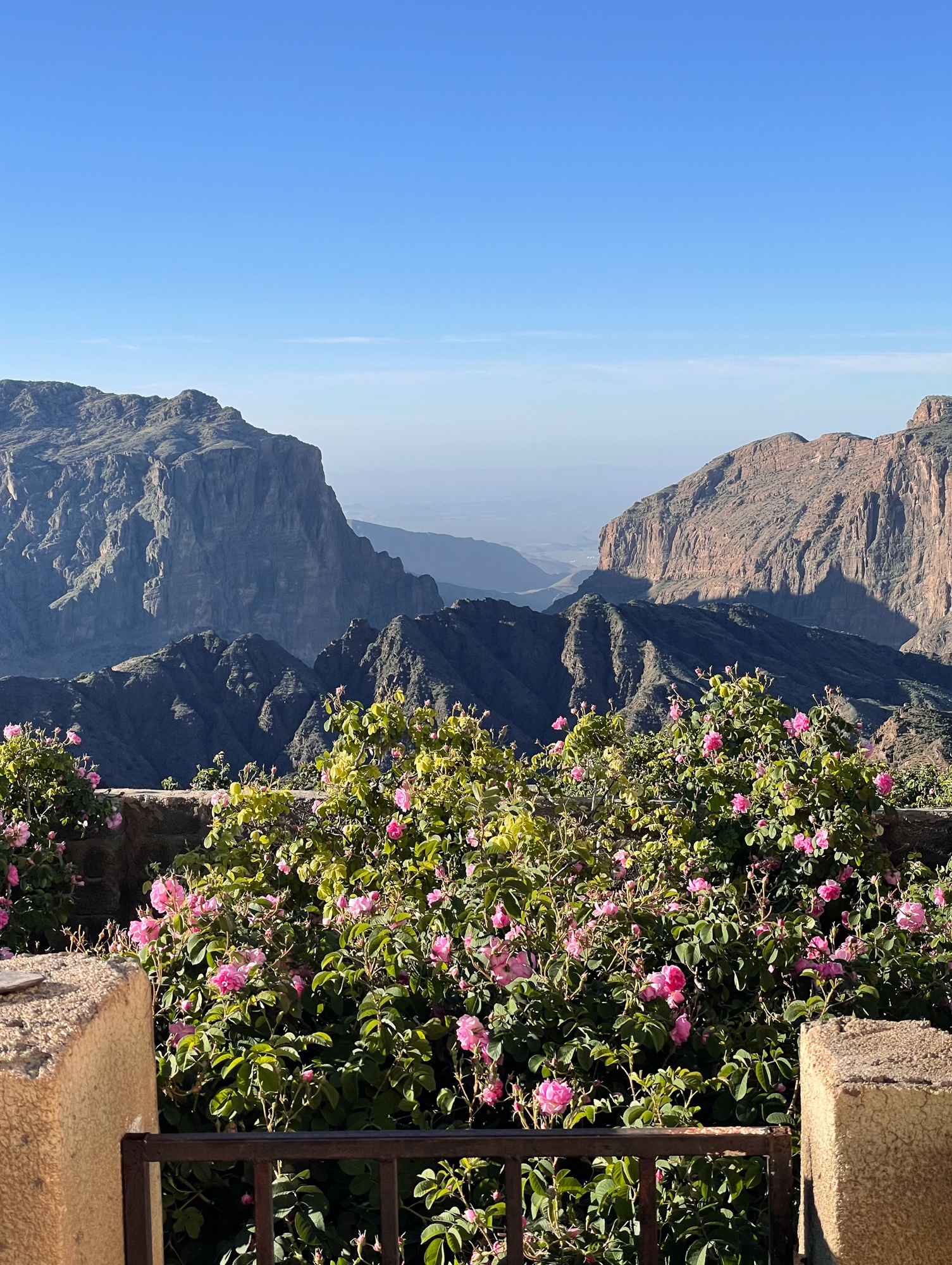 Amouage Voyage или путешествие в удивительный Оман. Часть 1. Ладан