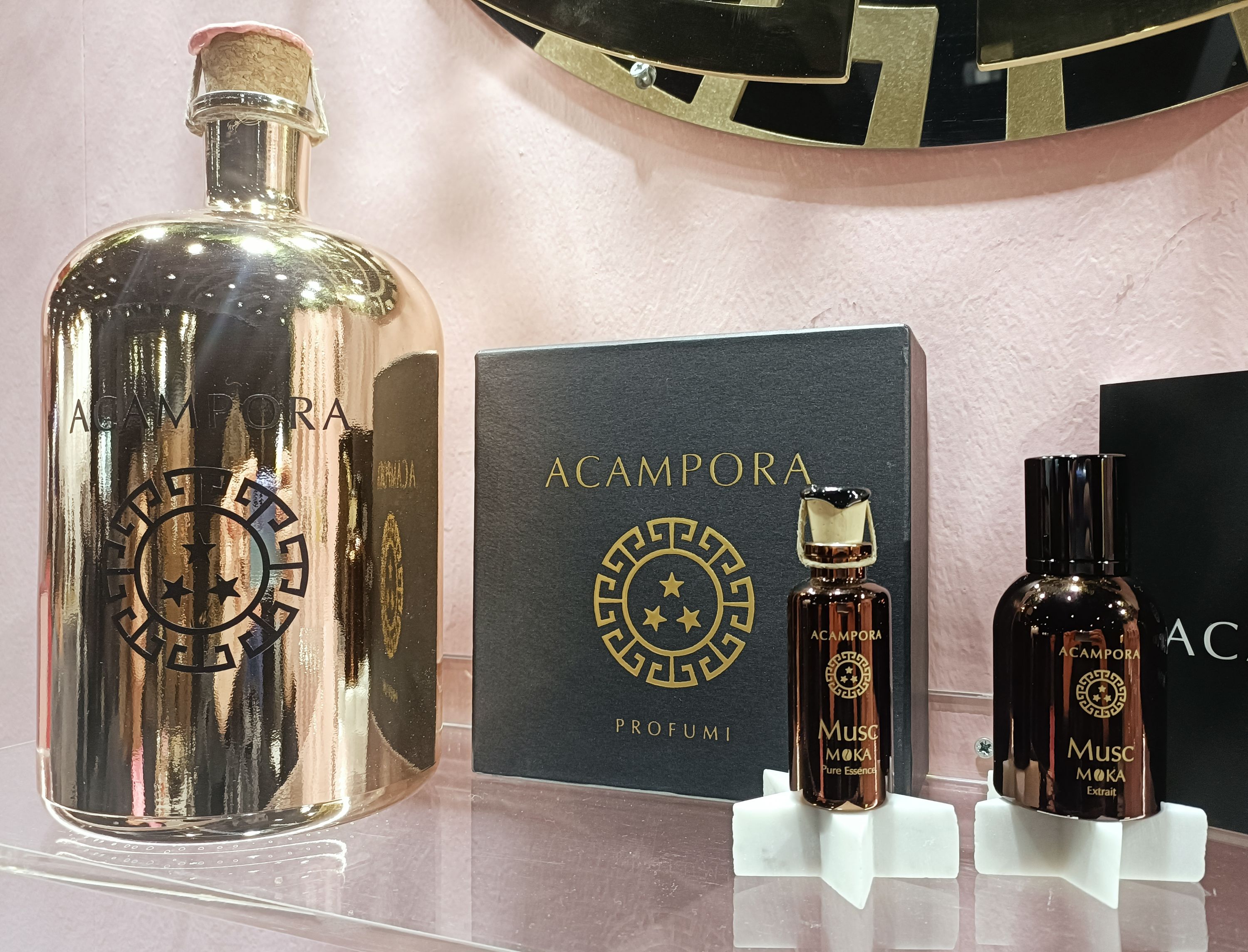 Acampora Musc Moka