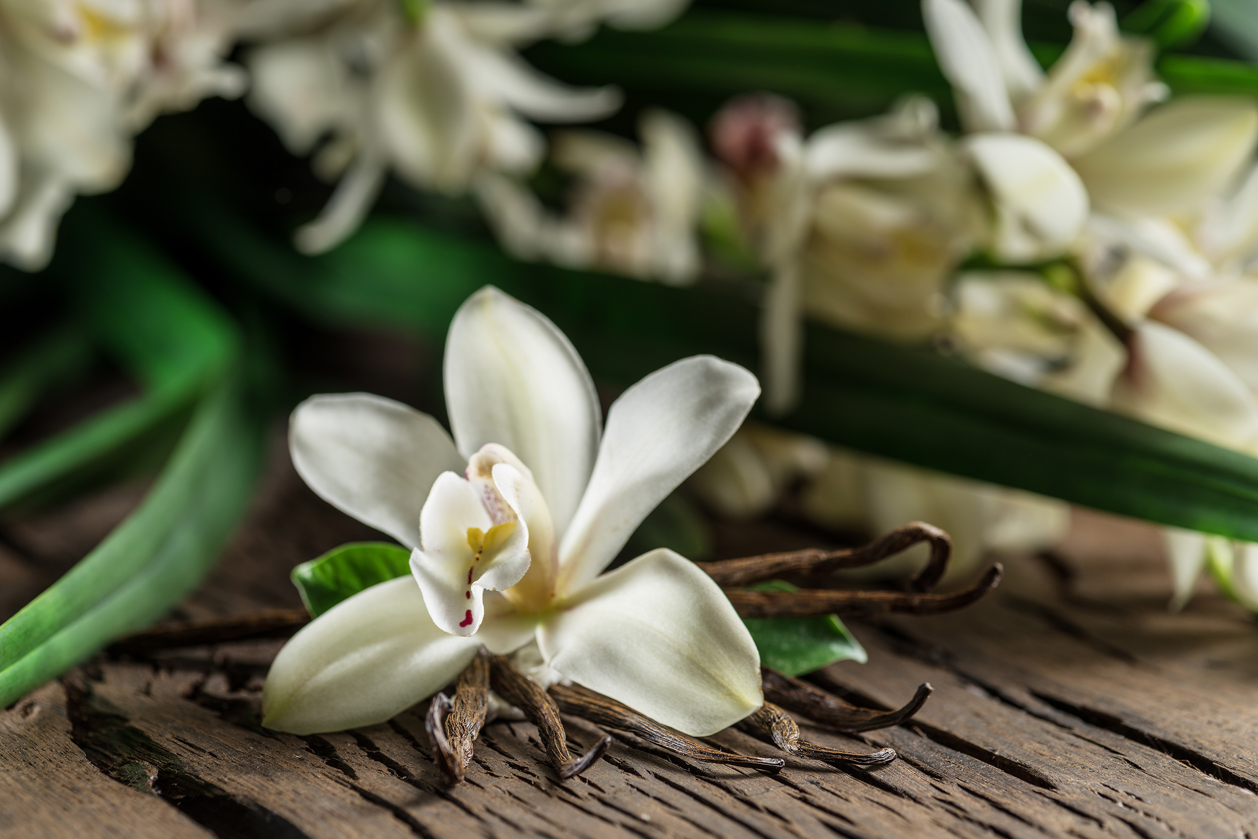 vanilla