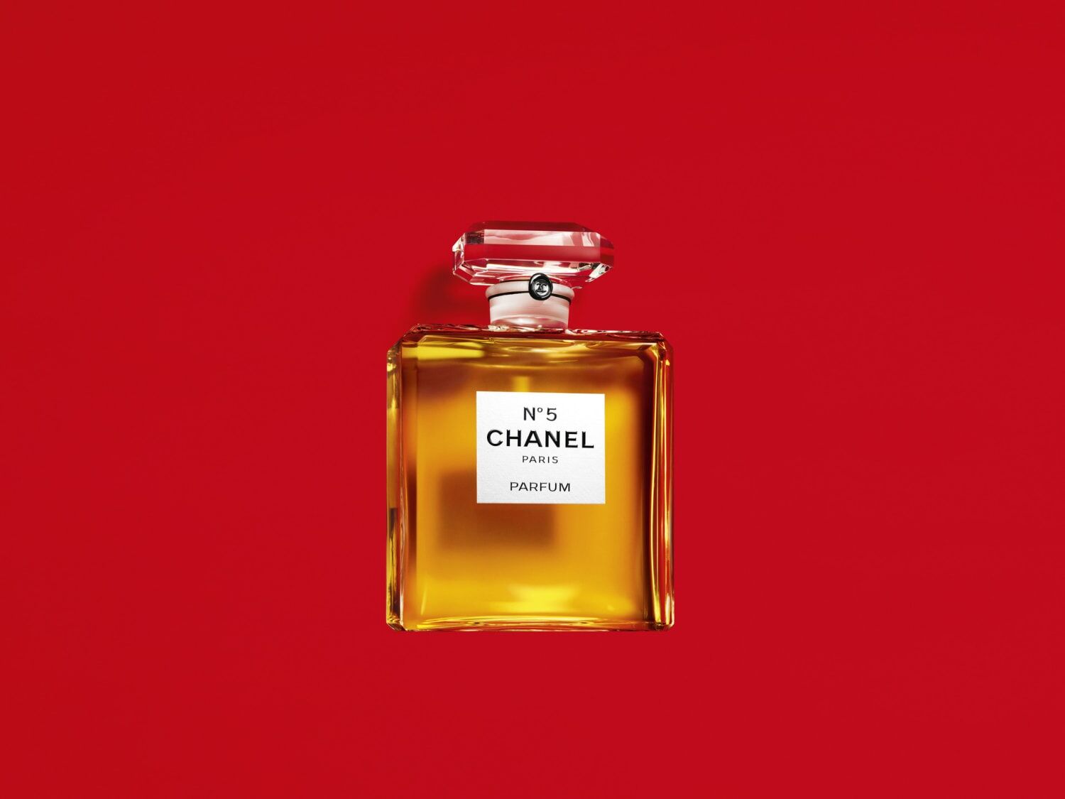 CHANEL No5 Campaign With Margot Robbie