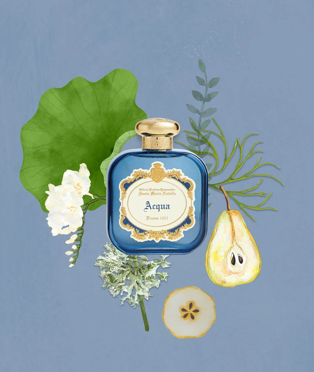 acqua santa maria novella