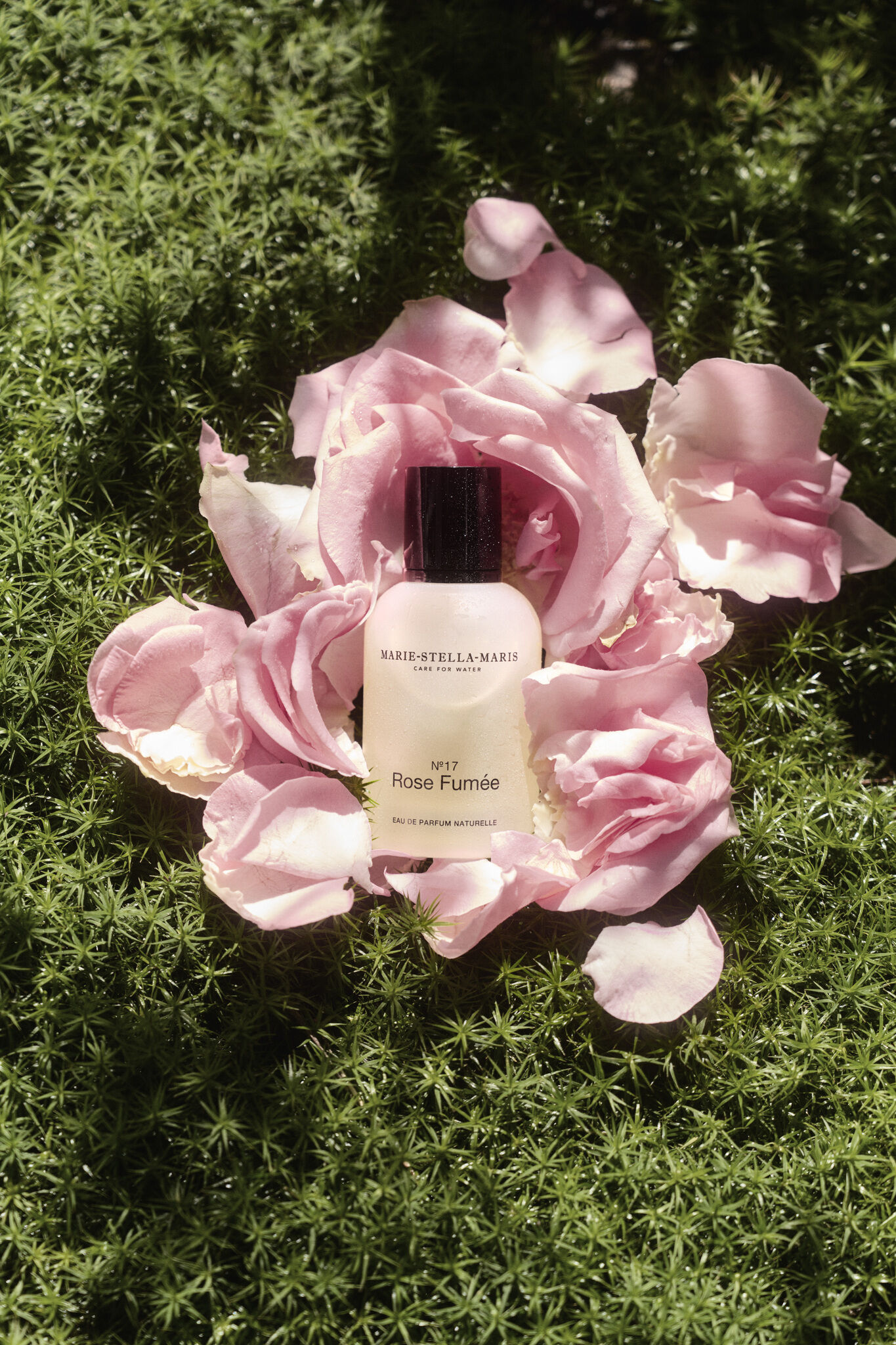Rose Fumee ad image