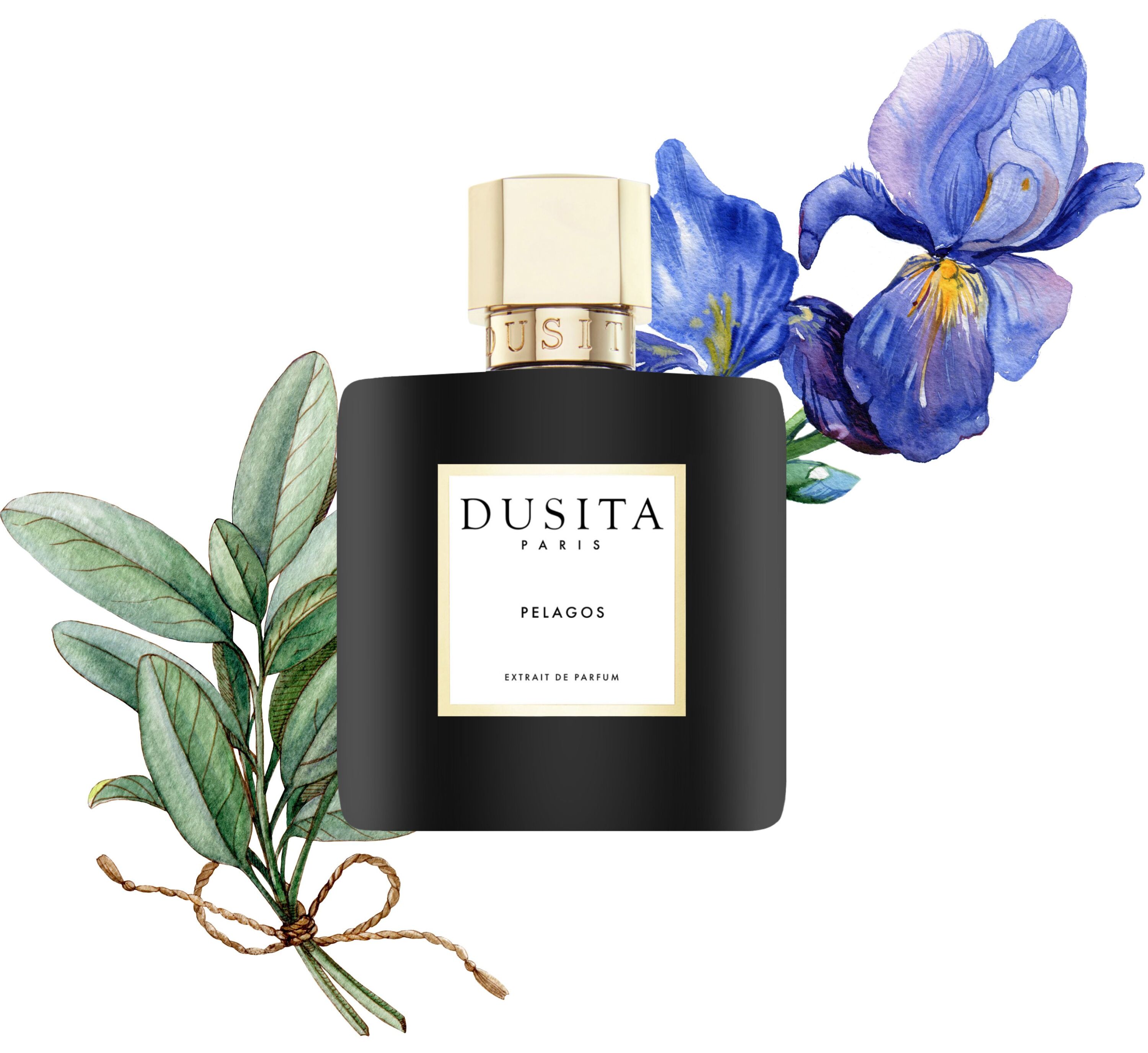 Dusita Pelagos: Turning Earth Into Water ~ Fragrance Reviews