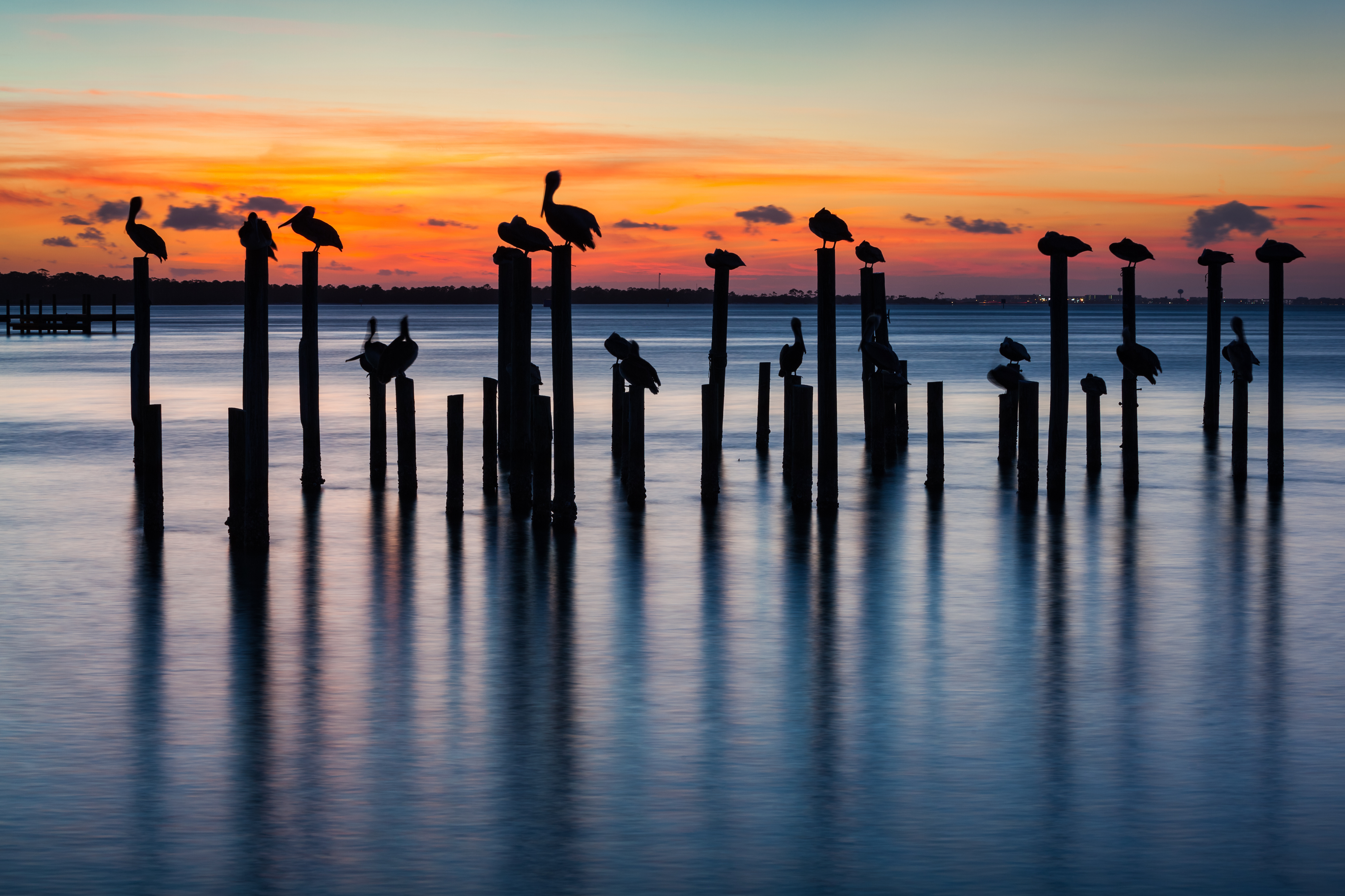 florida waterfront with birds sitting atop water poles