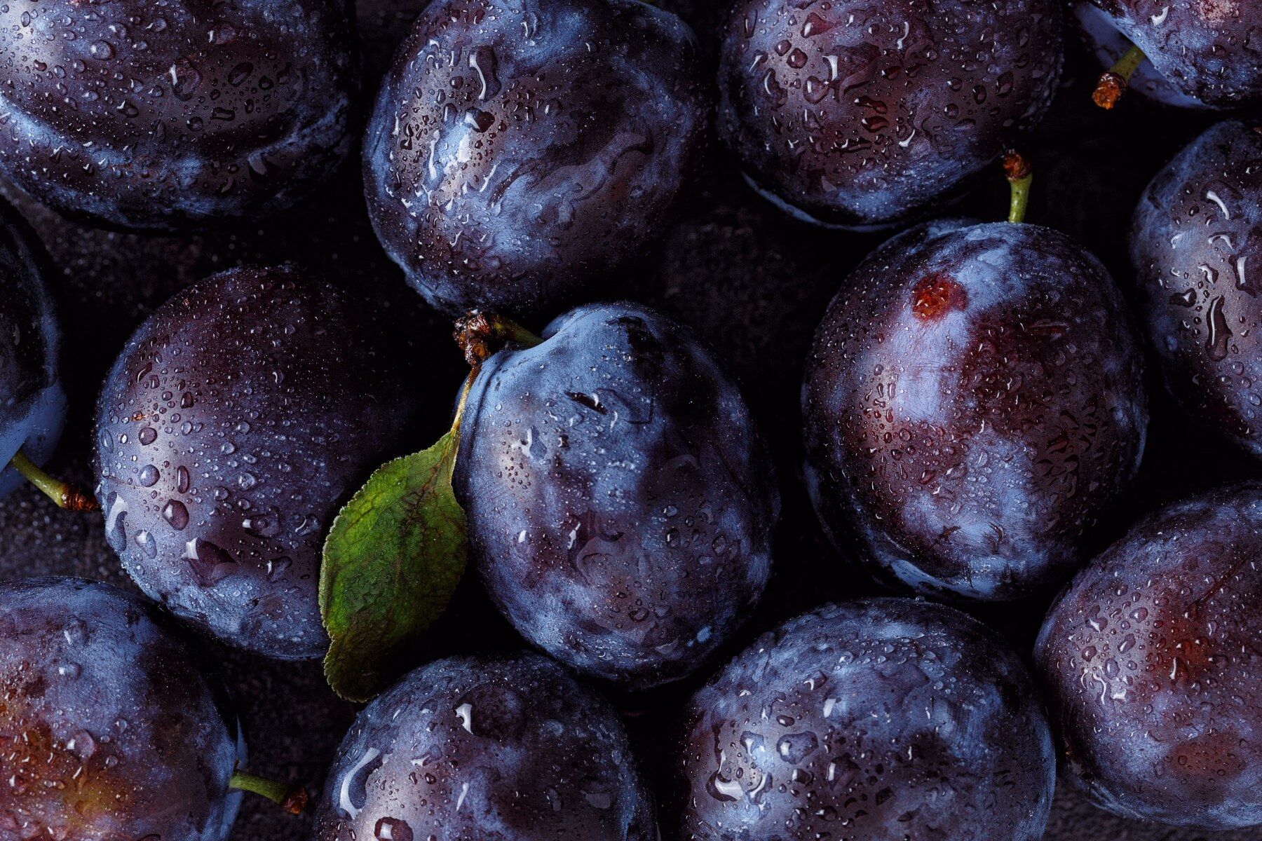 A load of ripe, purple plums speckled with moisture