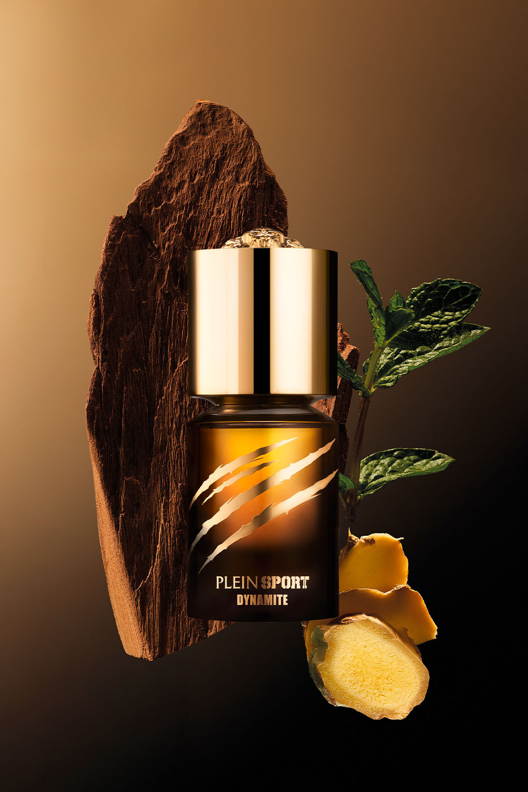 pleain sport dynamite