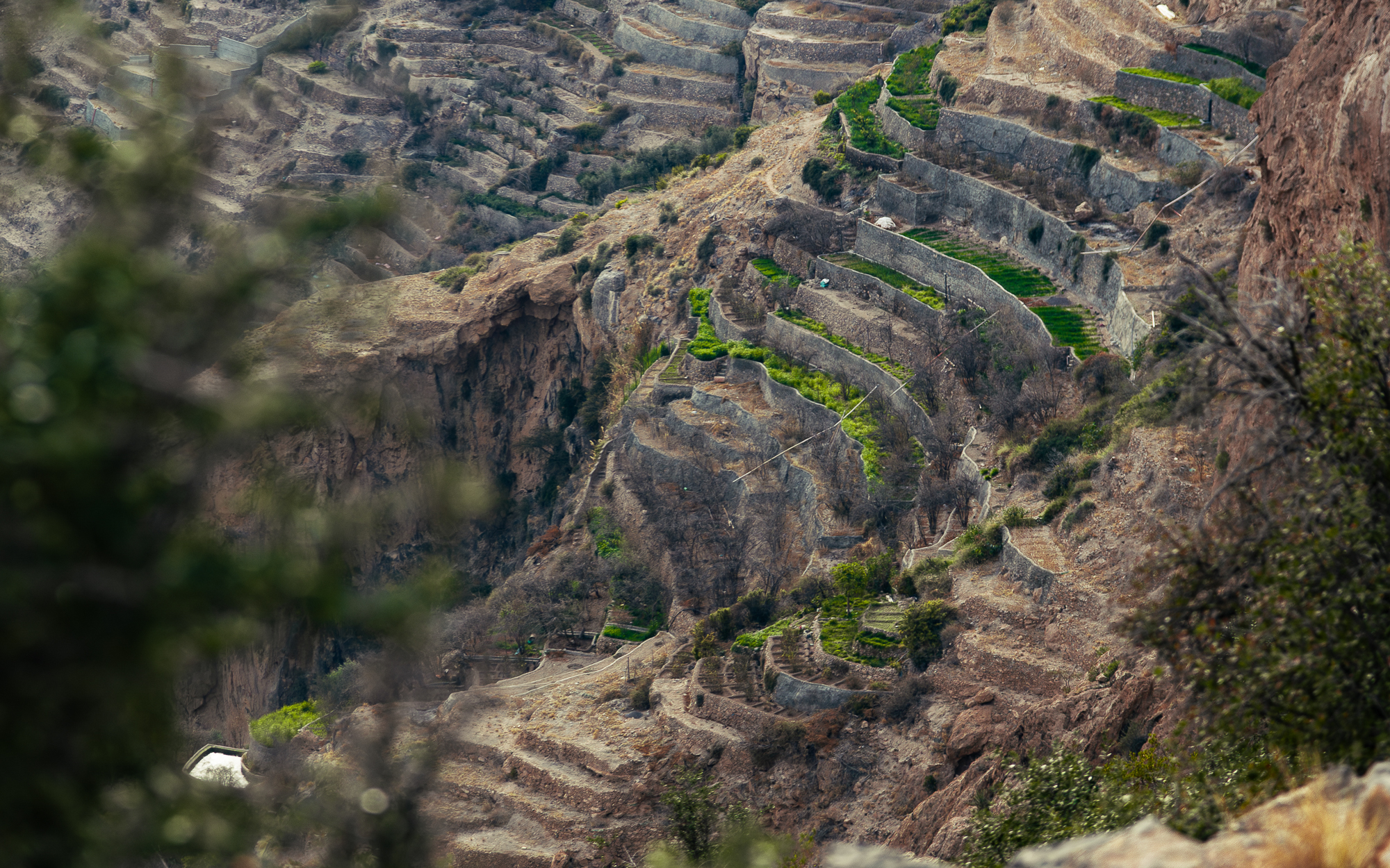 Scented Journey by Omanluxury to the Land of Fragrances