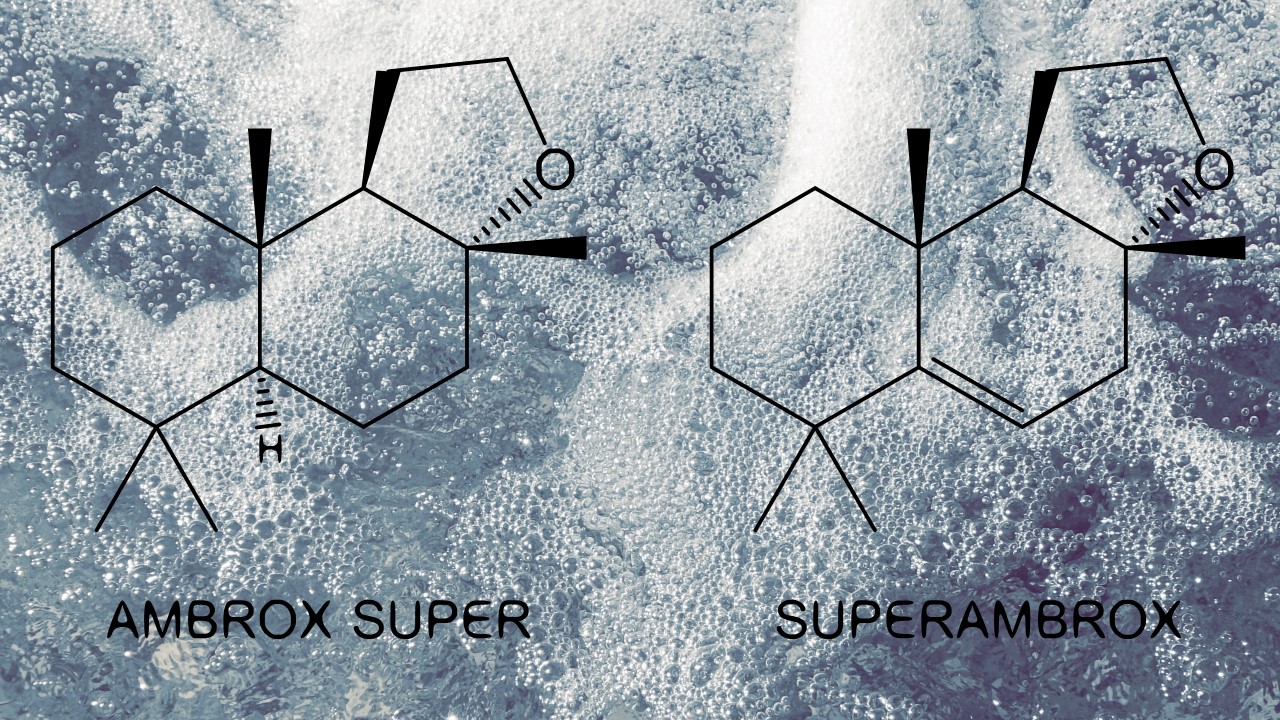 Ambergris, Ambrox and Ambroxan of the Year ~ Raw Materials