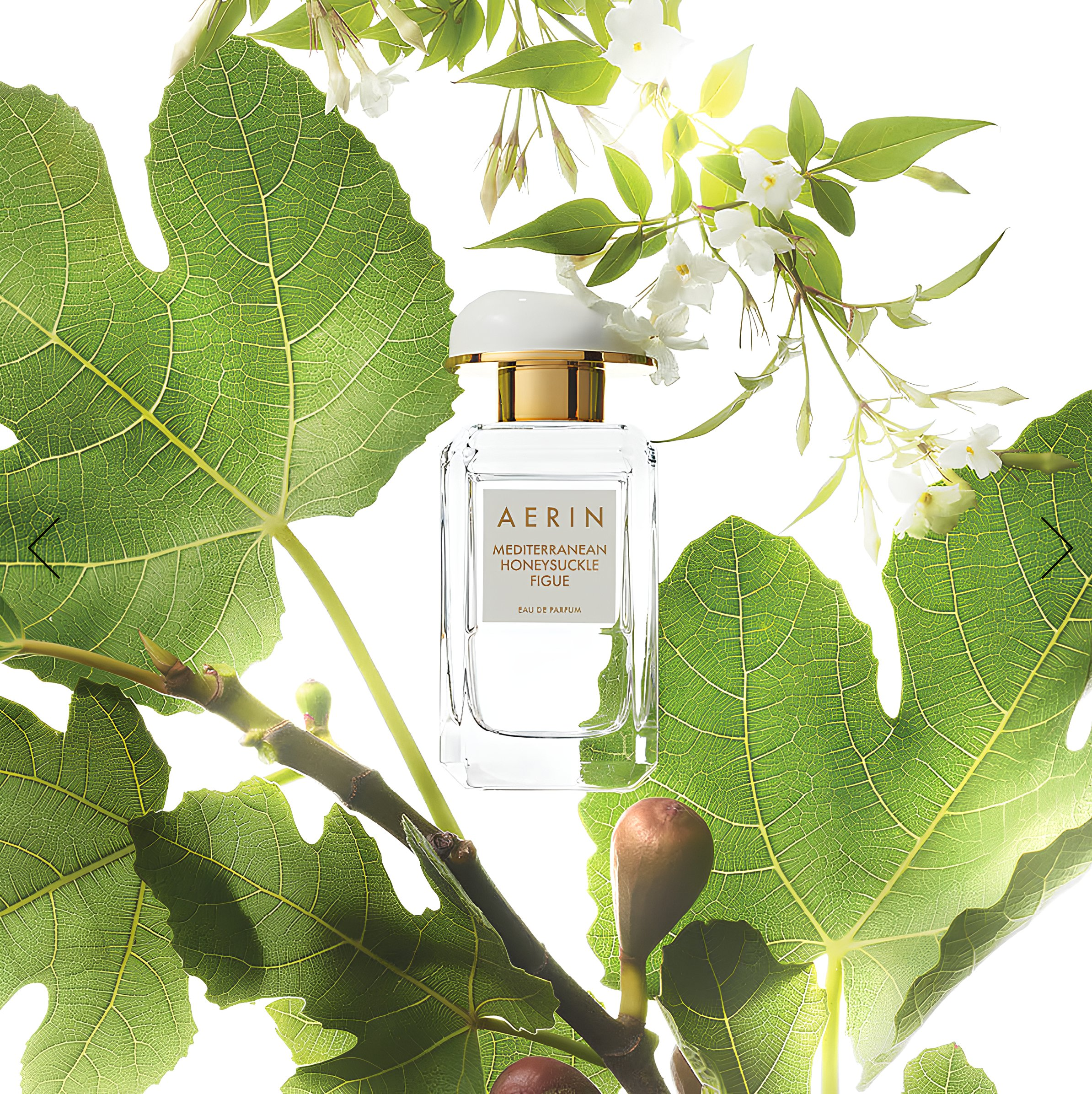 Aerin Mediterranean Honeysuckle Figue