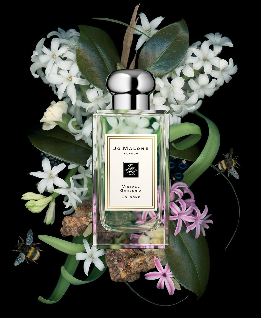 Jo Malone London: The Return of Vintage Gardenia ~ Fragrance Reviews