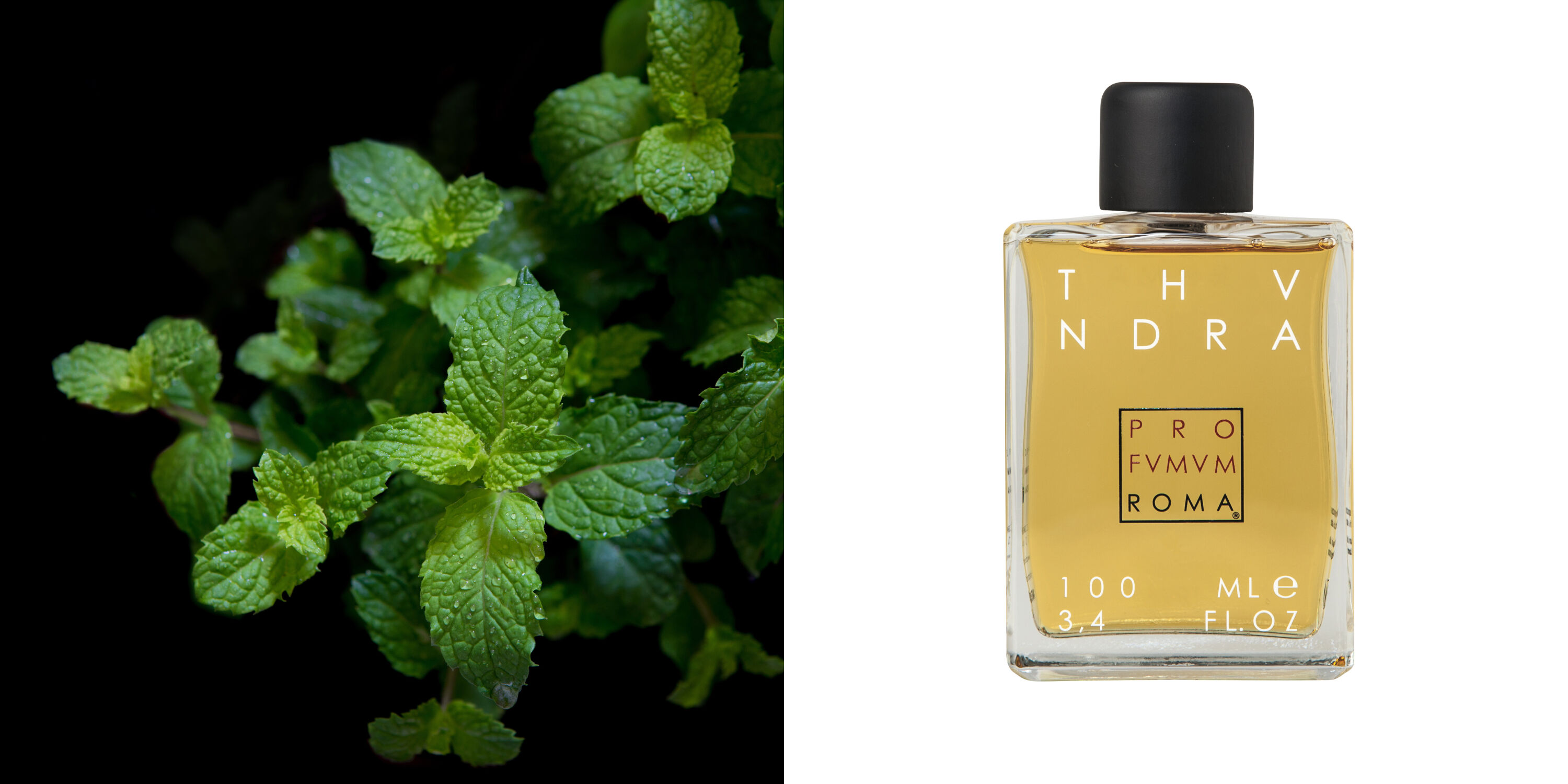 Thundra Profumum Roma for women and men