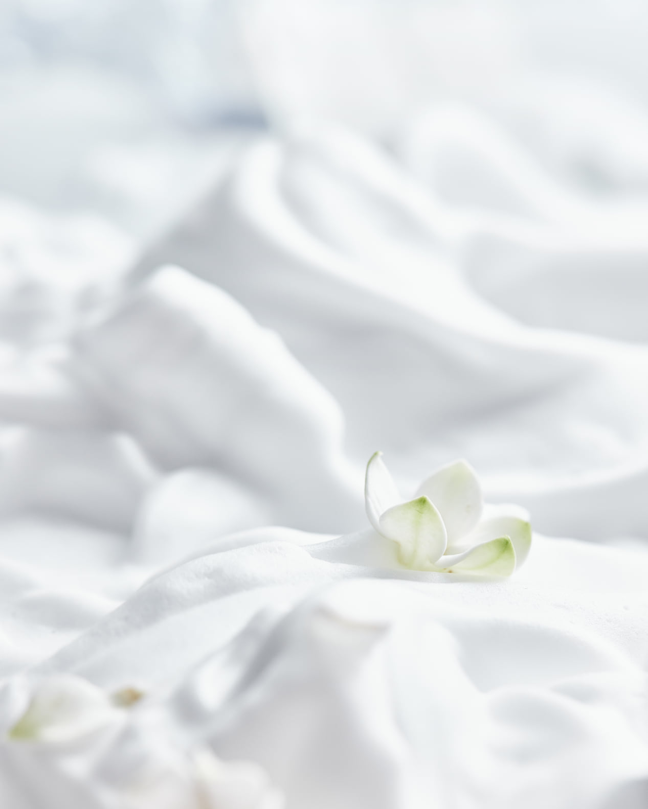 Fragrances To Dive Into: Les Liquides Imaginaires Blanche Bête and ...