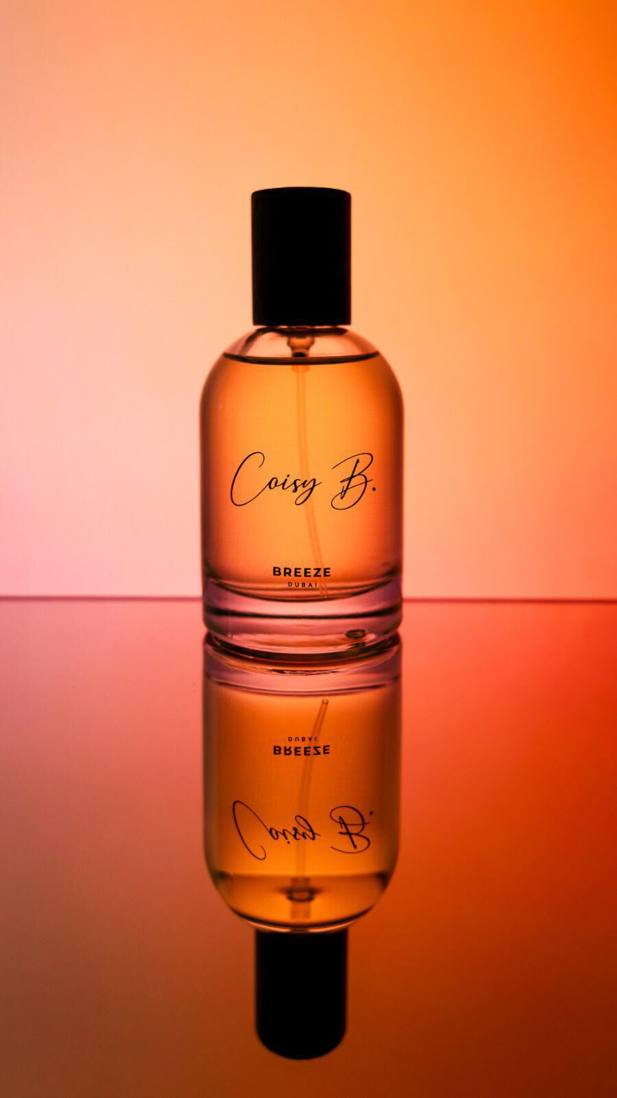 coisy b. breeze