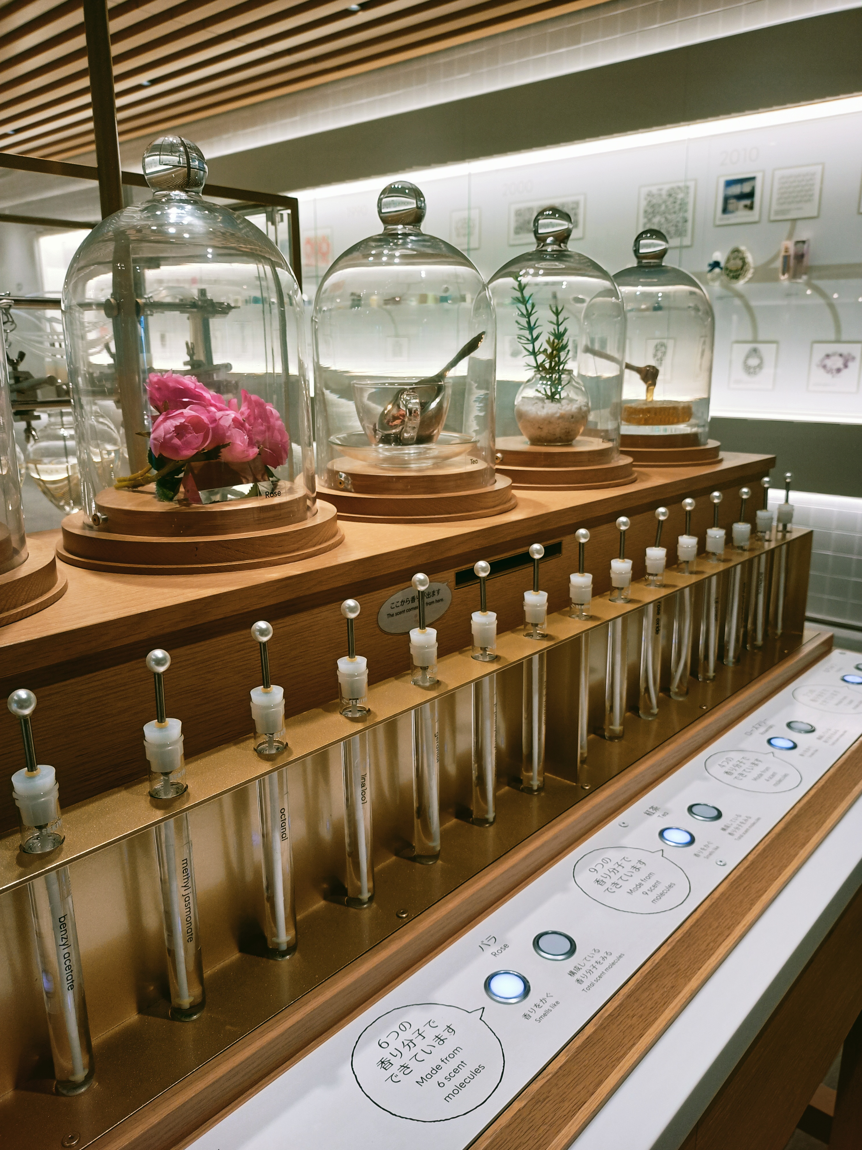 Музей S/PARK Shiseido или как с пользой потратить пару часов в Йокогаме