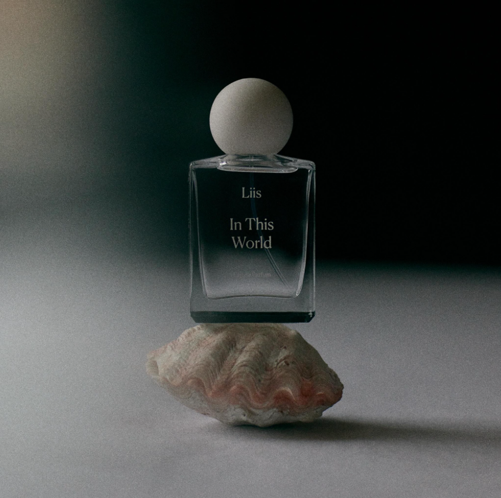 In This World by Liis bottle on shell