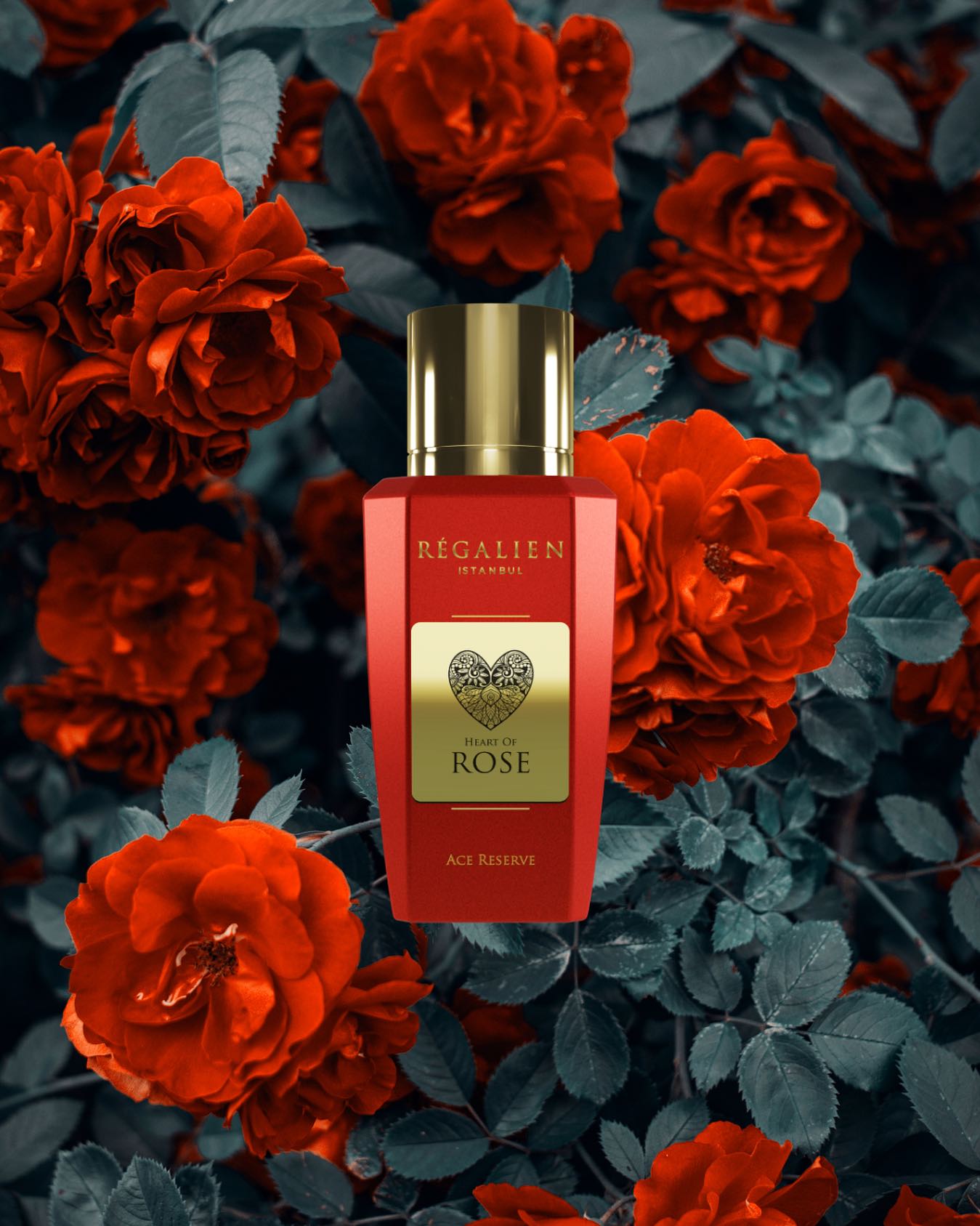 Heart of rose