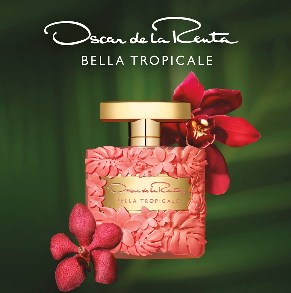 Oscar de la online renta bella blanca fragrantica