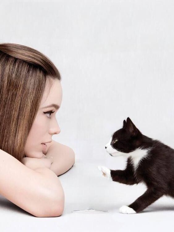 remember the cat?
