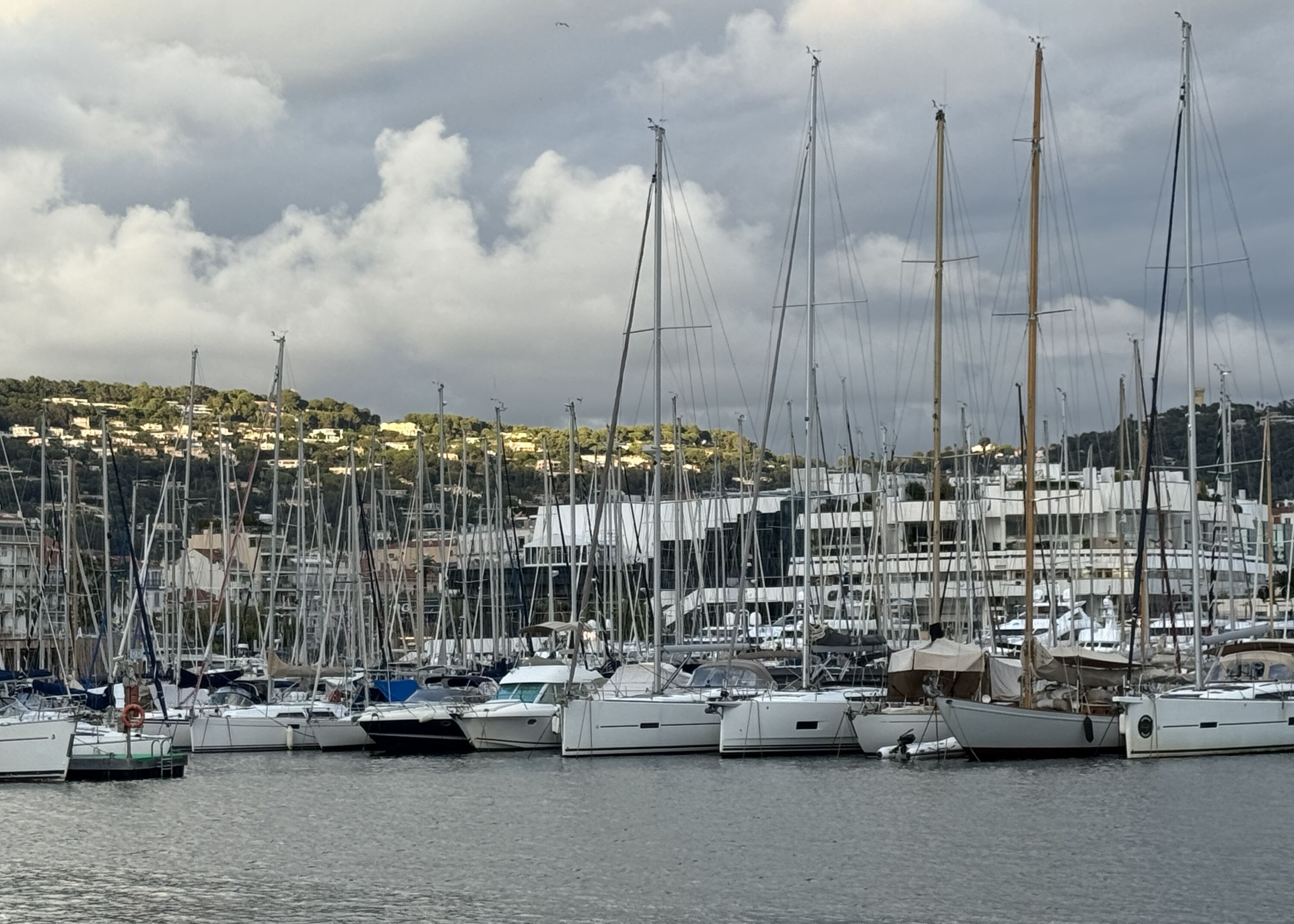 cannes 2024