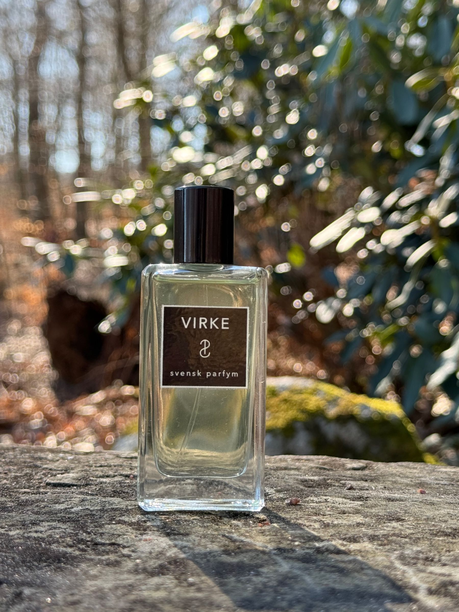 Virke stood on a rock
