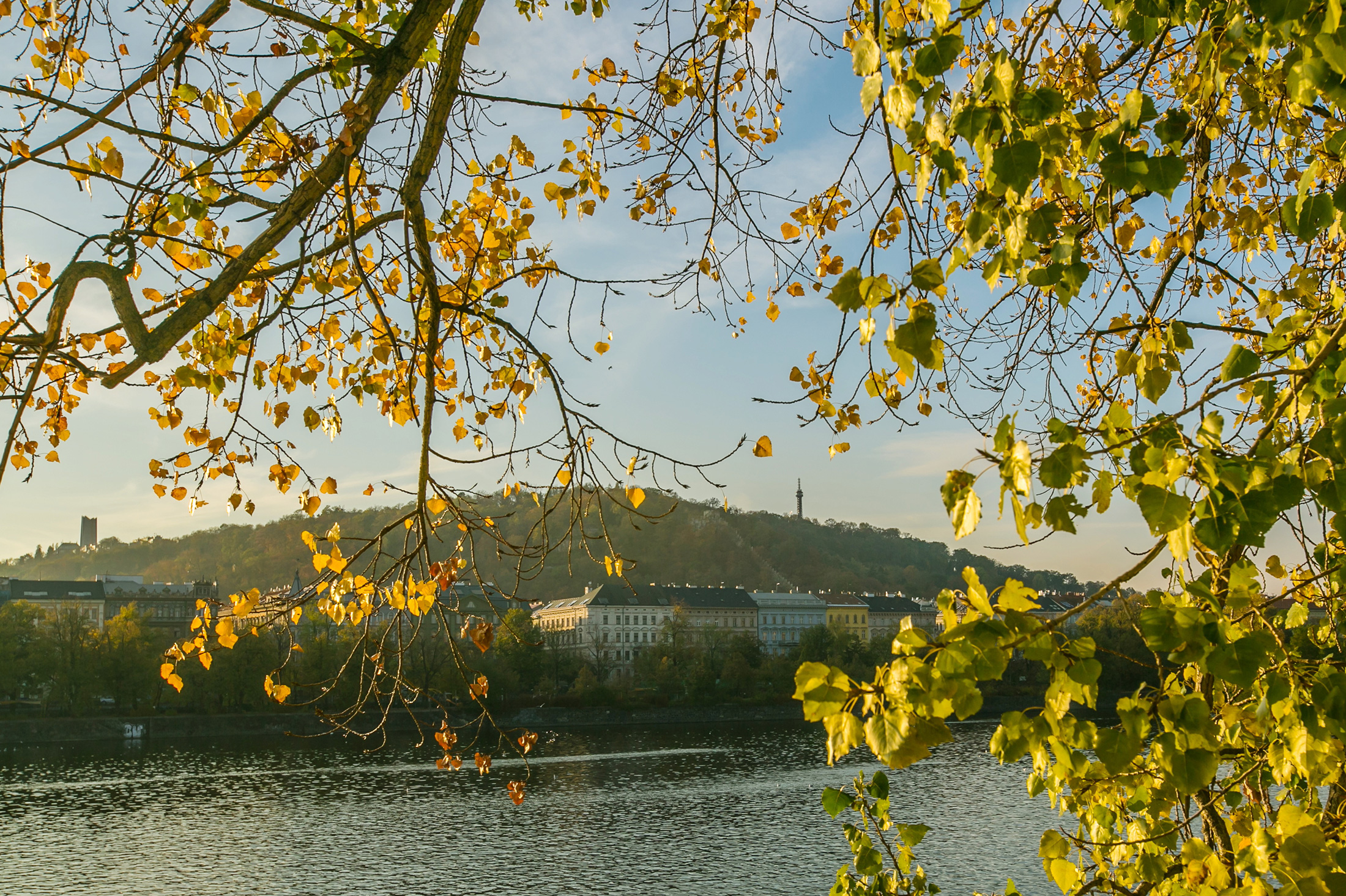 Scents of the Czech Republic: Linden blossom ~ Fragrances and Cultures