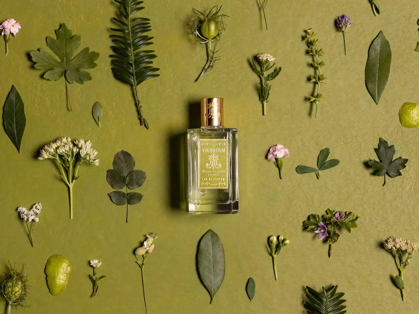 Viridarium от Maria Candida Gentile: дыхание времени