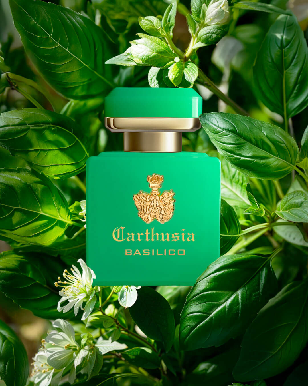 Carthusia Collezione Intenso Basilico