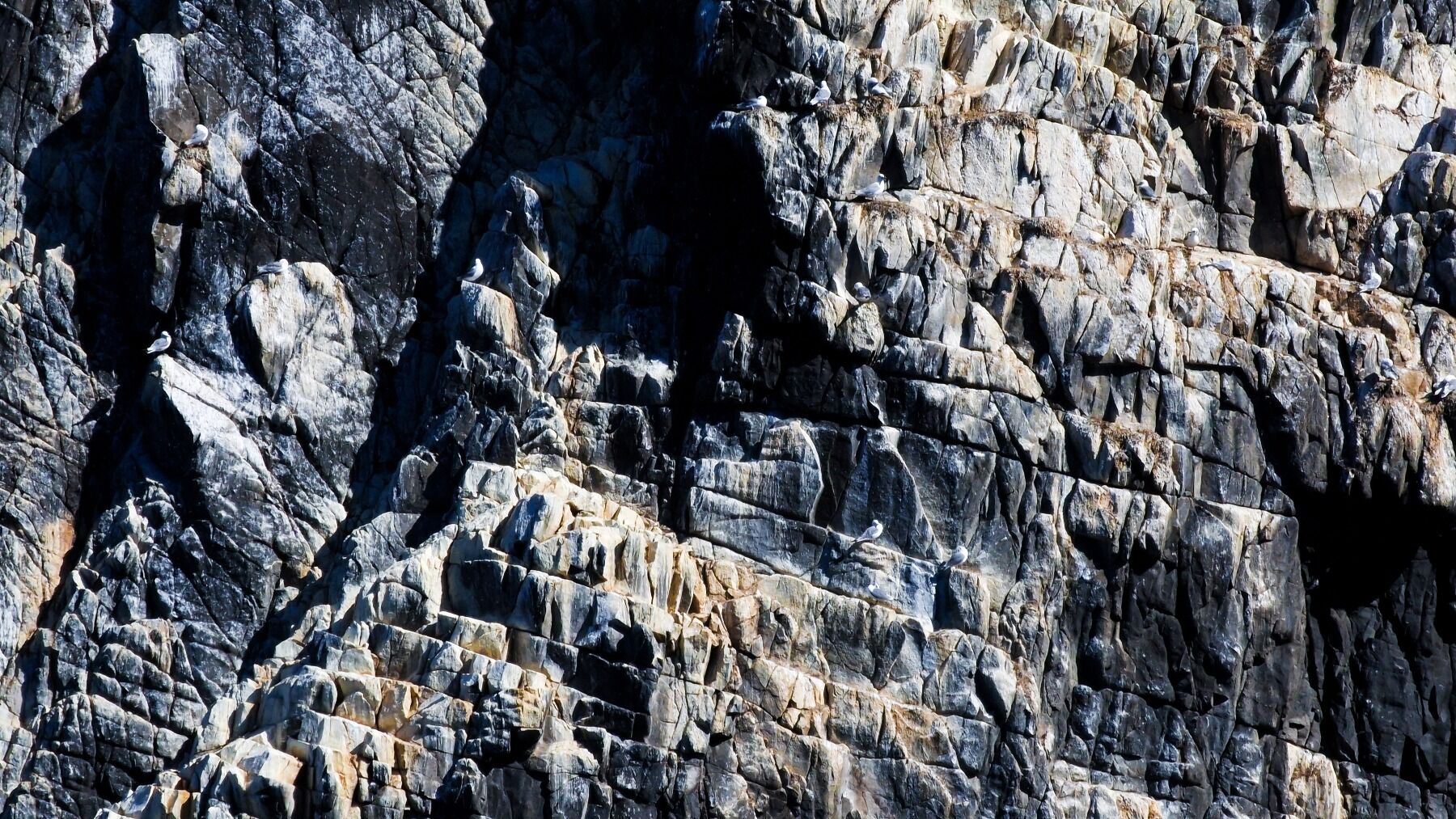 A dark, granite cliff face