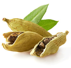 Cardamom Spice