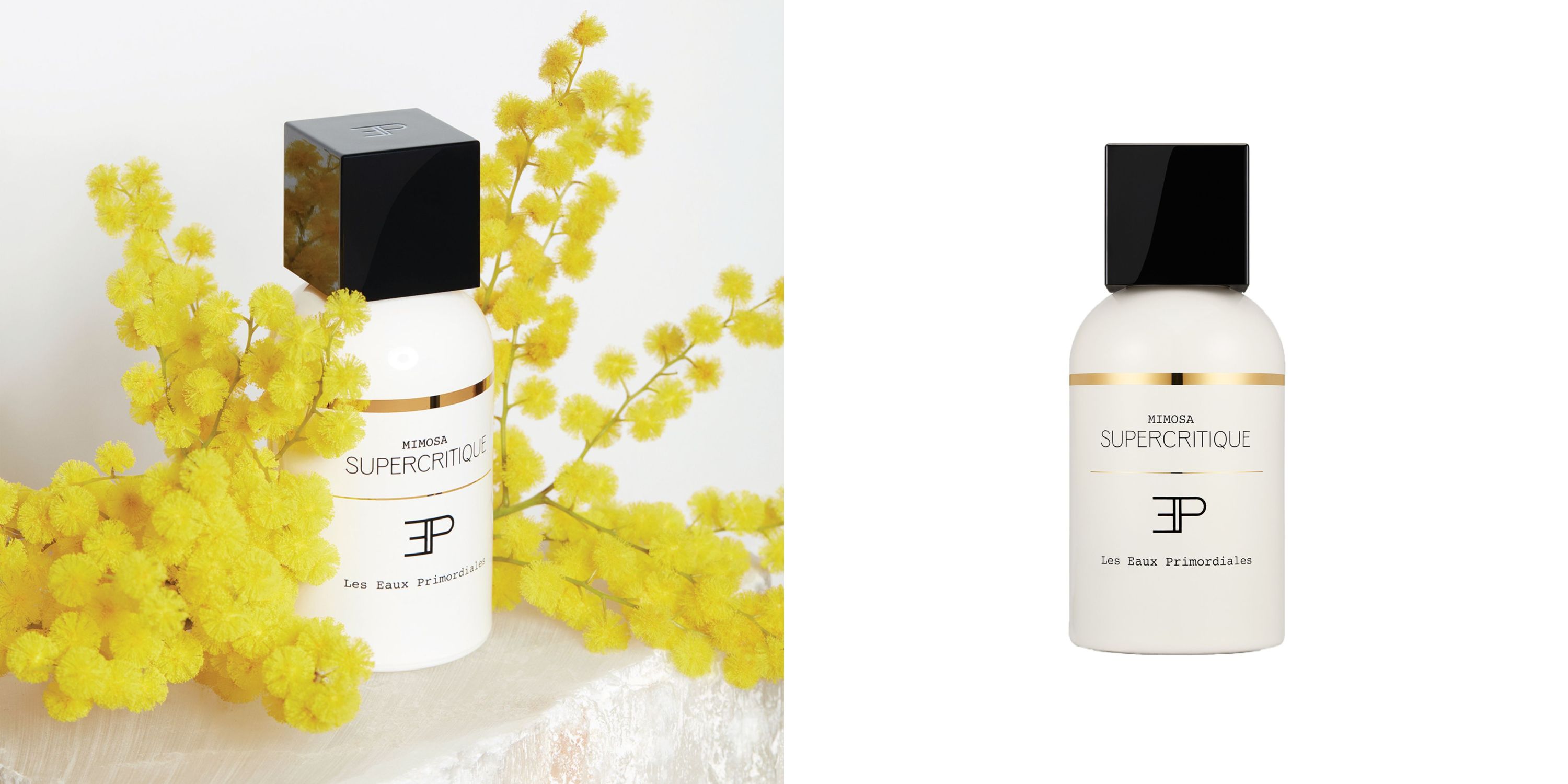 Mimosa Supercritique Les Eaux Primordiales for women and men