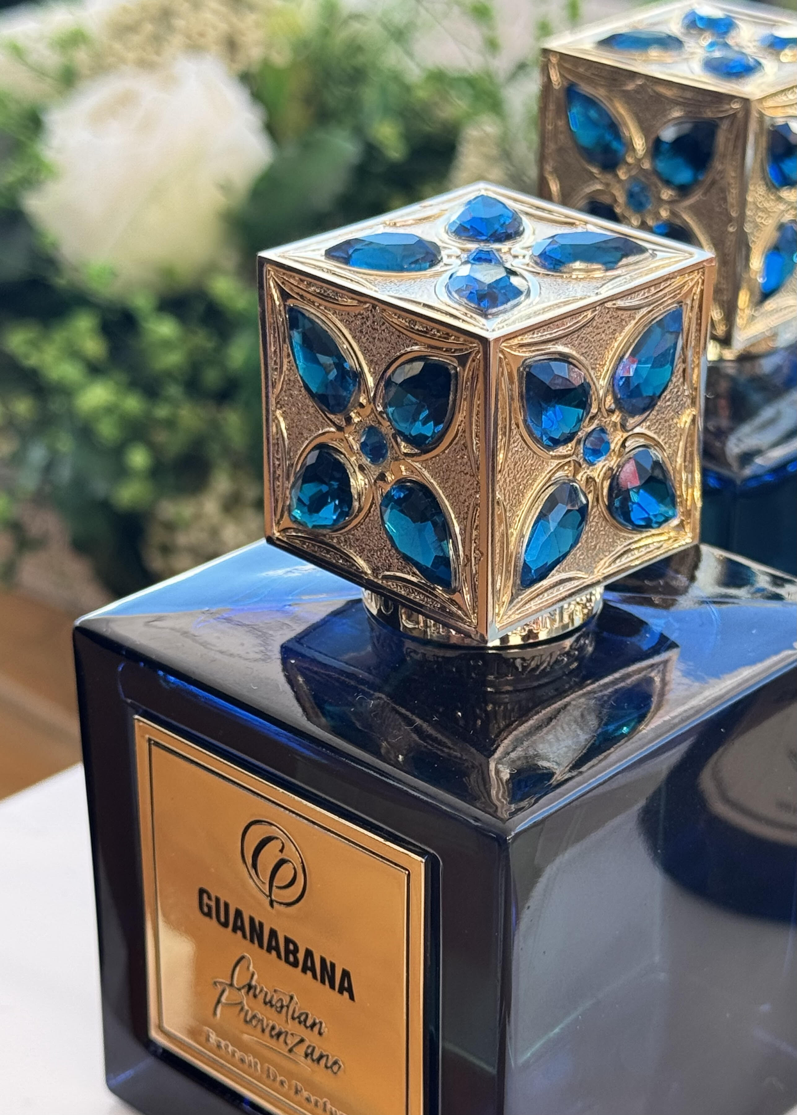 christian provenzano guanabana