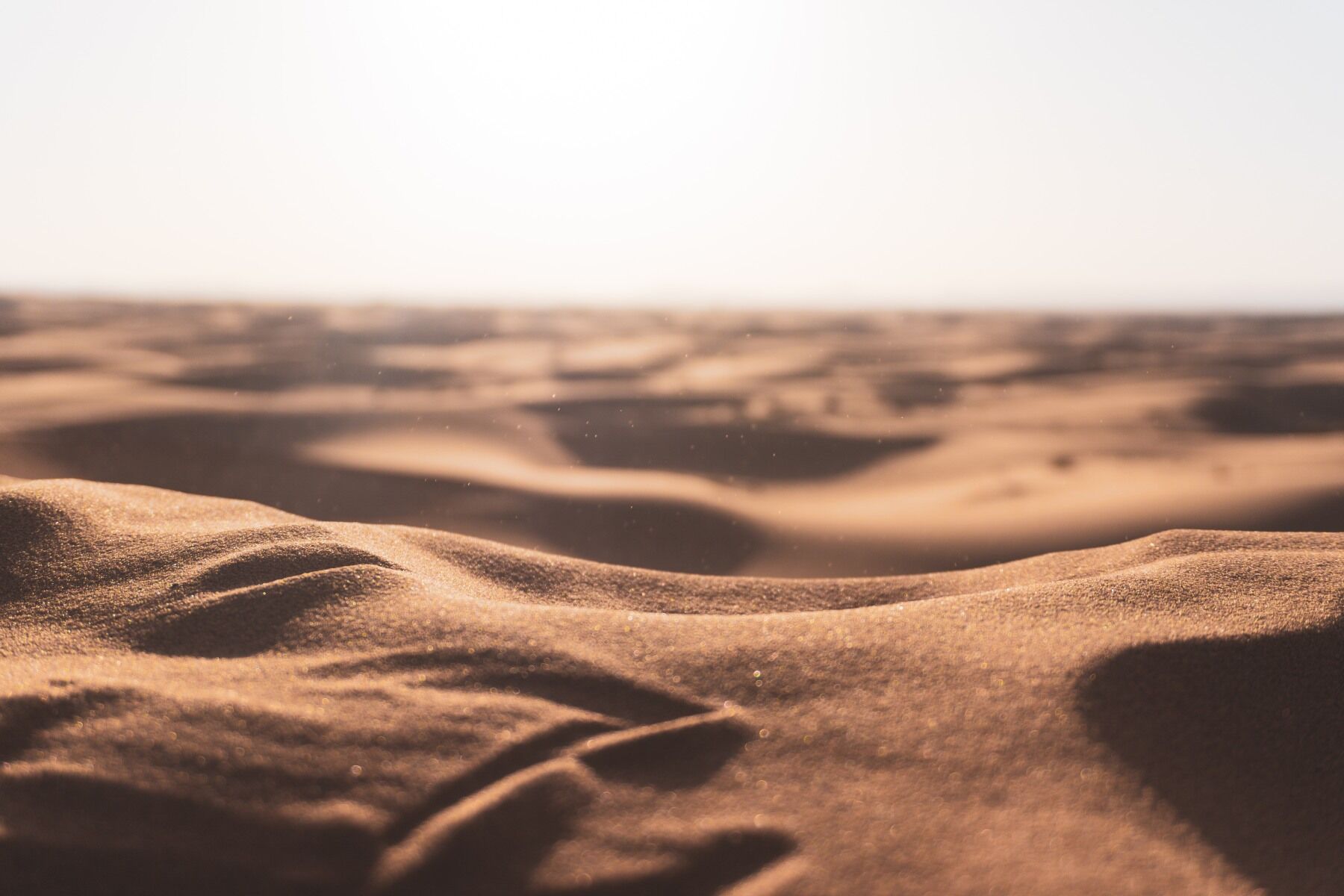 Sand in a desert