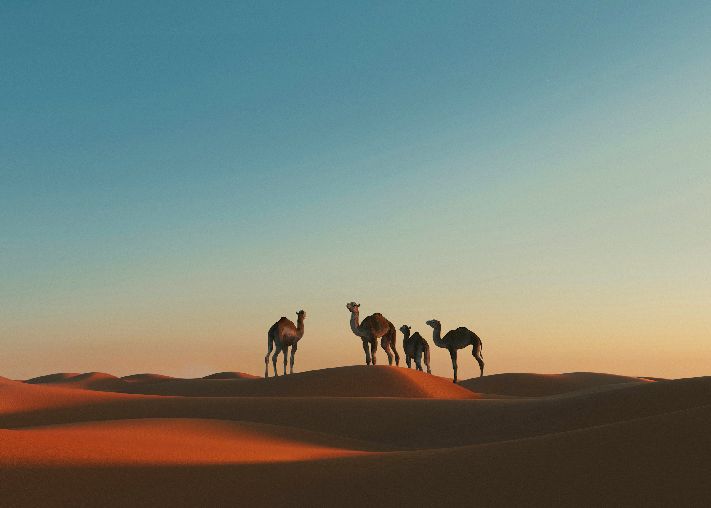 Caden od Omanluxury: dubajská vůně