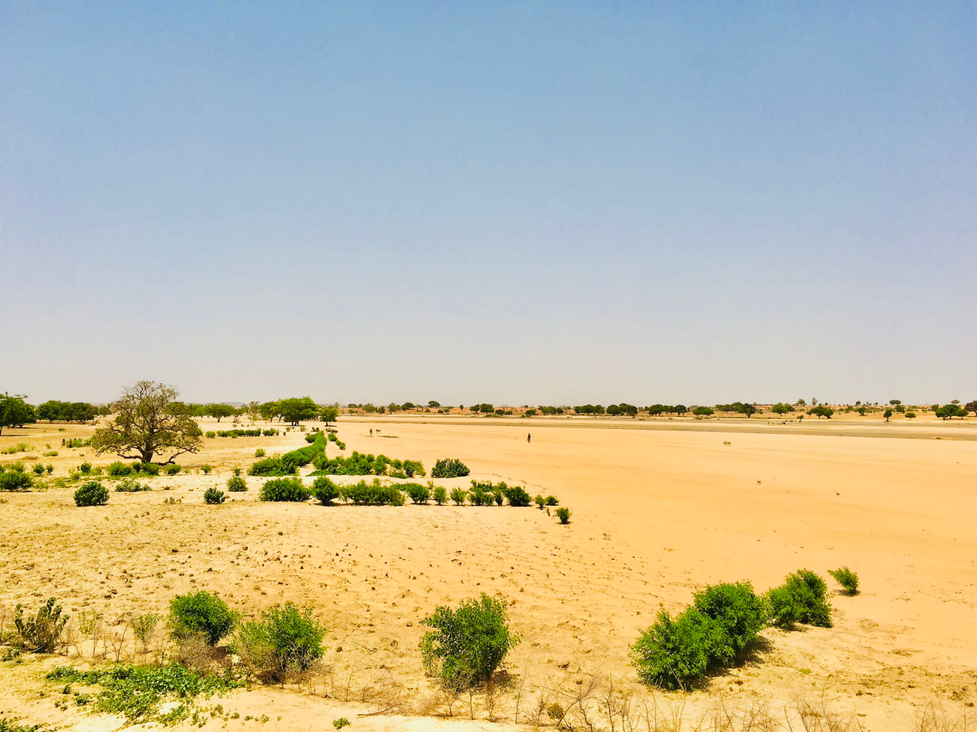 Poušť v severní Nigérii