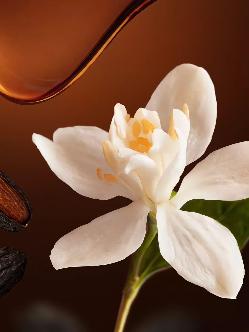 Jasmine flower Rituals ad image