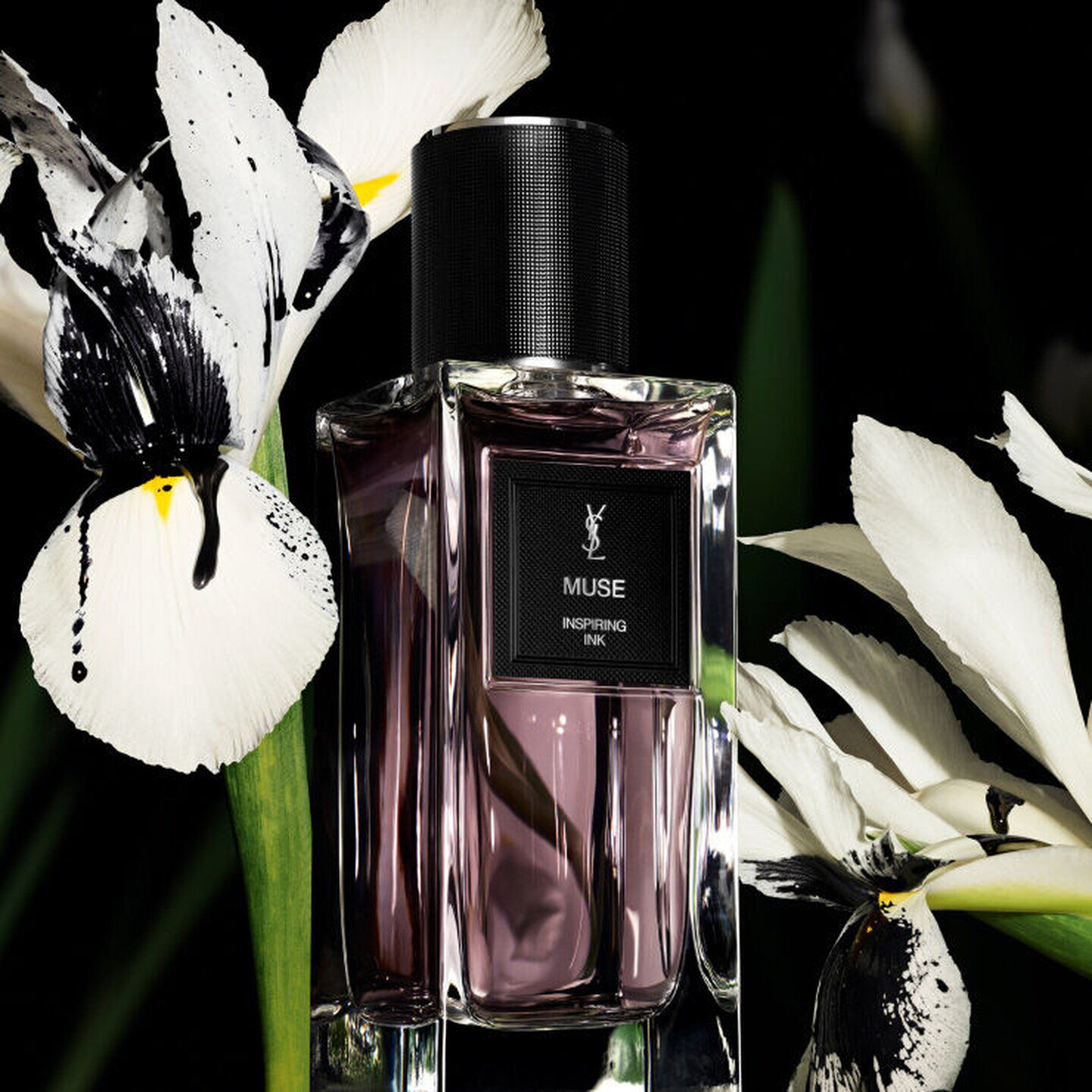 Muse Yves Saint Laurent