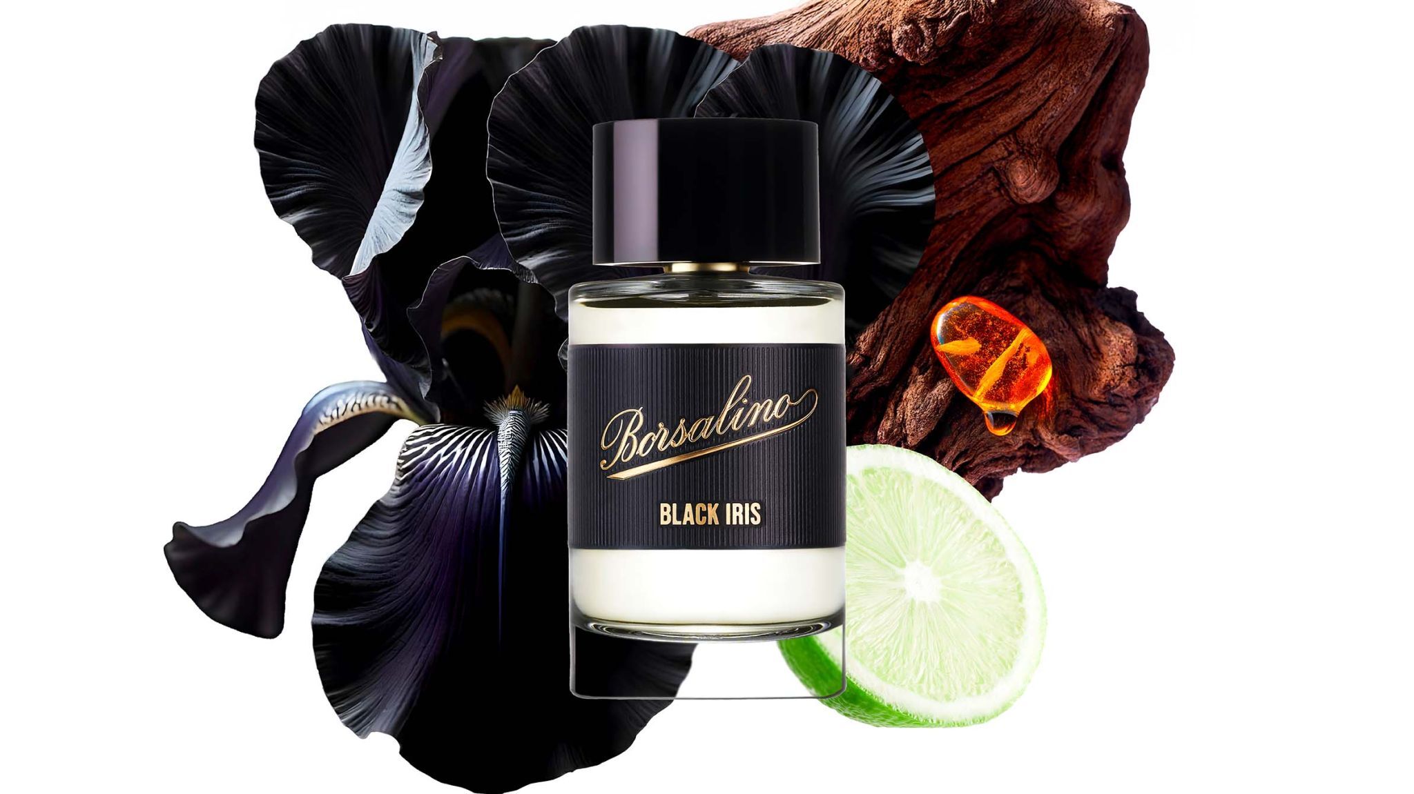 borsalino black iris