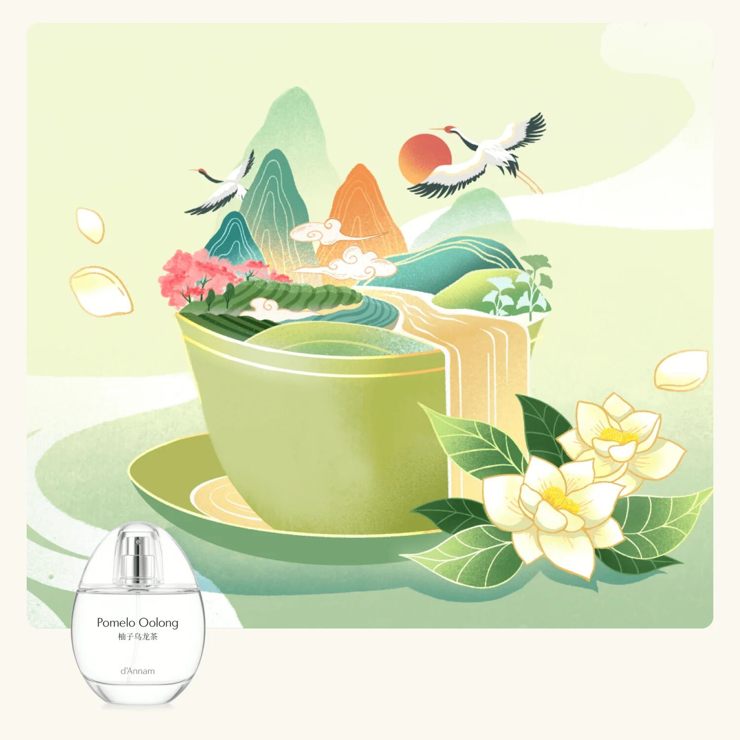 Pomelo Oolong od D'Annam reklamní obrázek