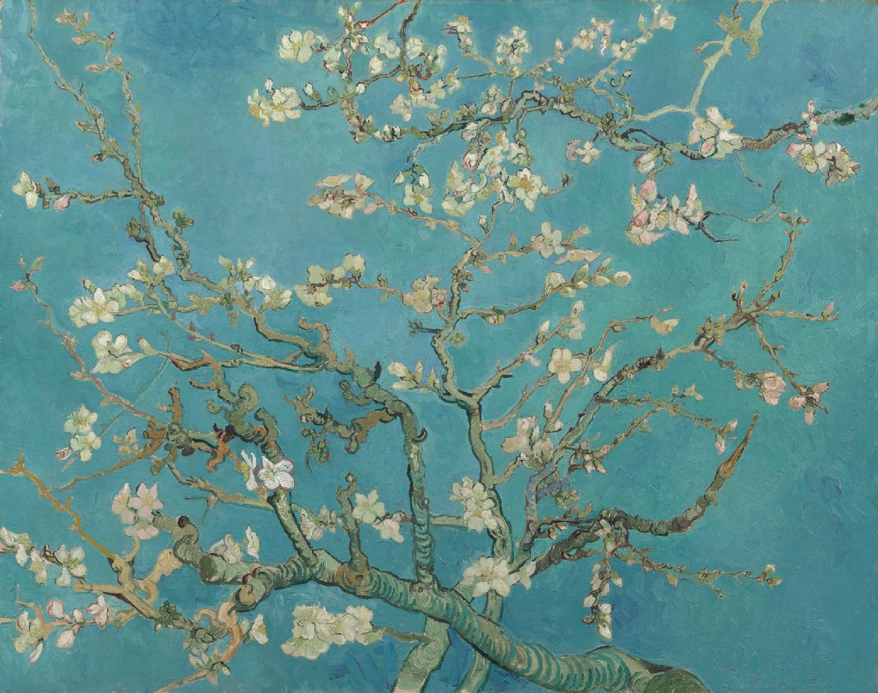 Almond Blossoms, 1890 by Vincent Van Gogh. Source: Van Gogh Museum