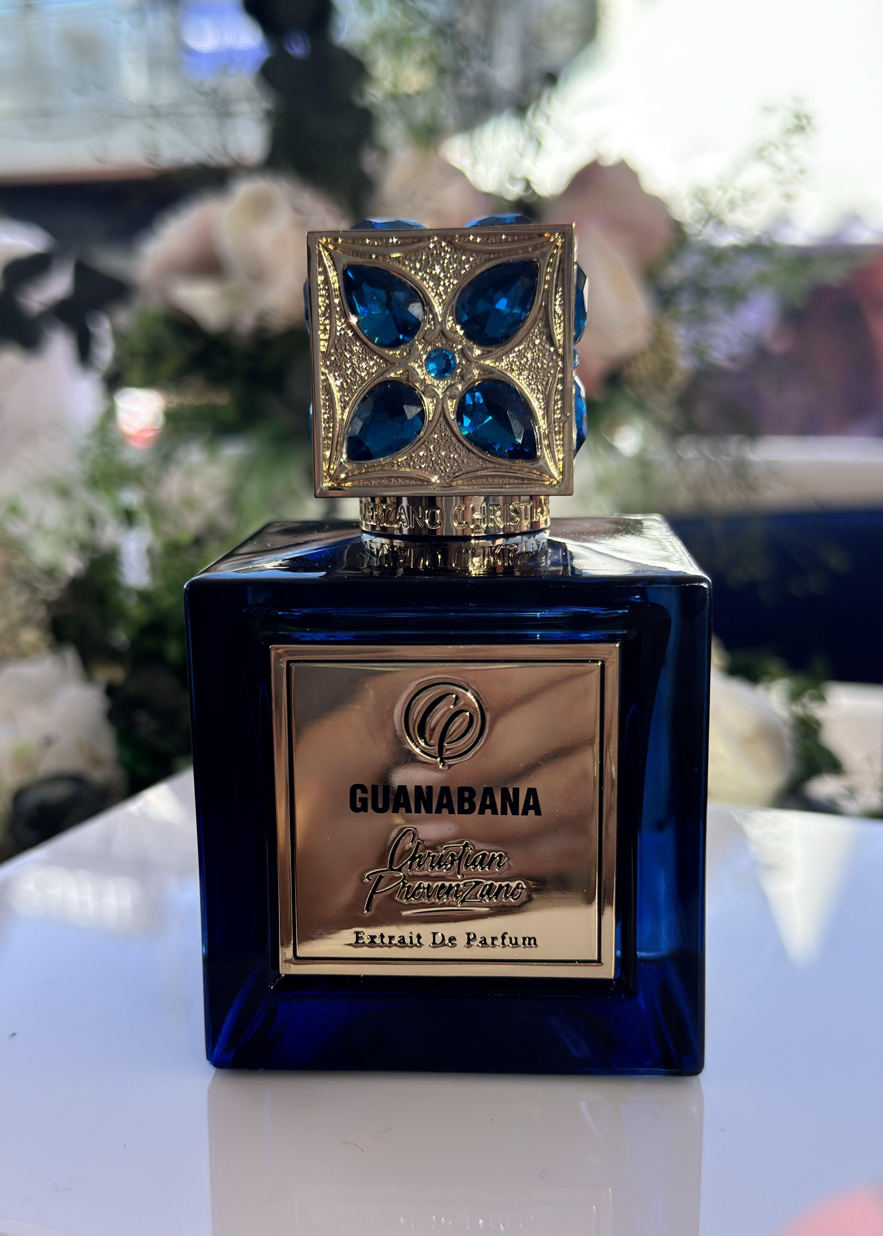 christian provenzano guanabana