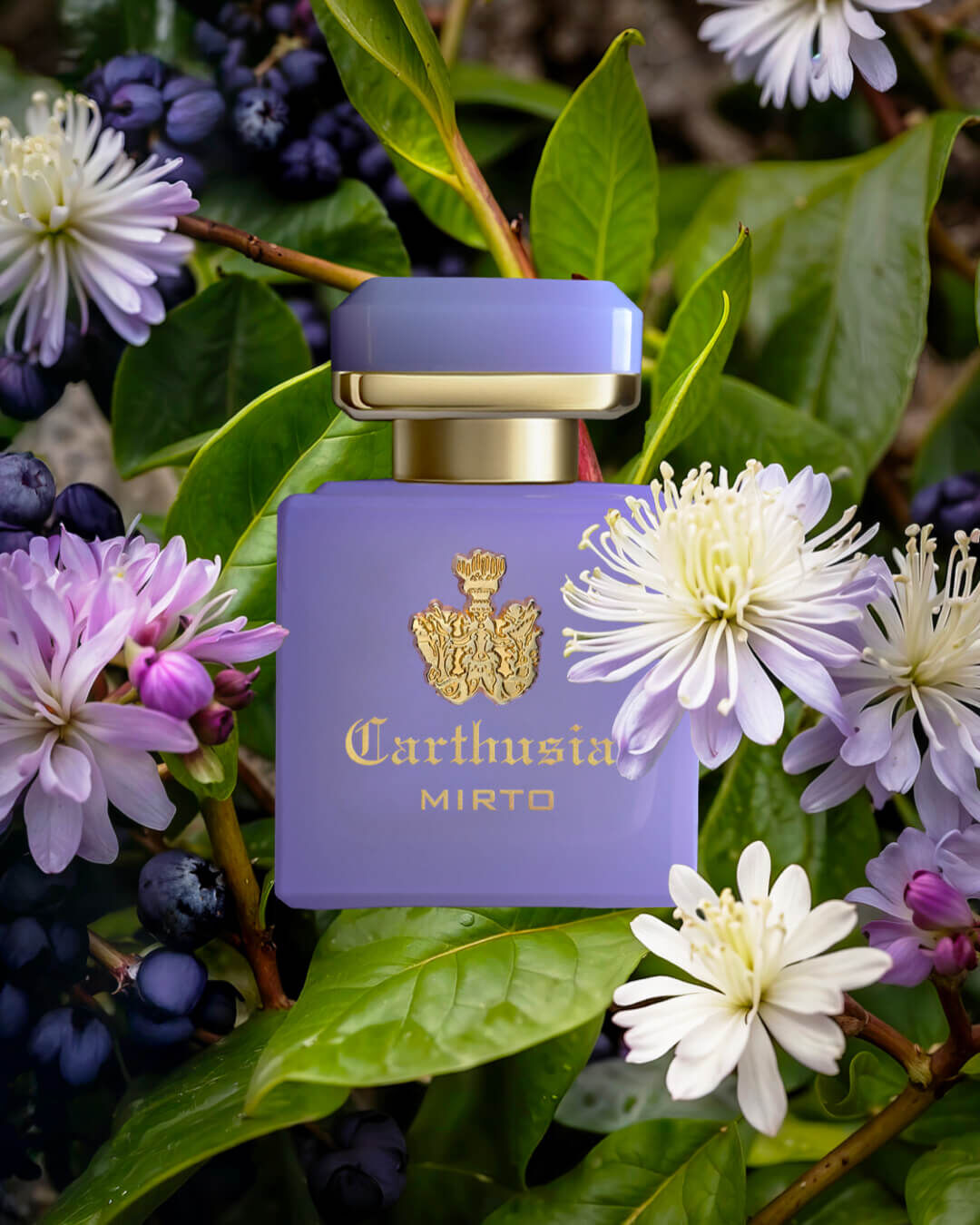 Carthusia Intenso di Capri