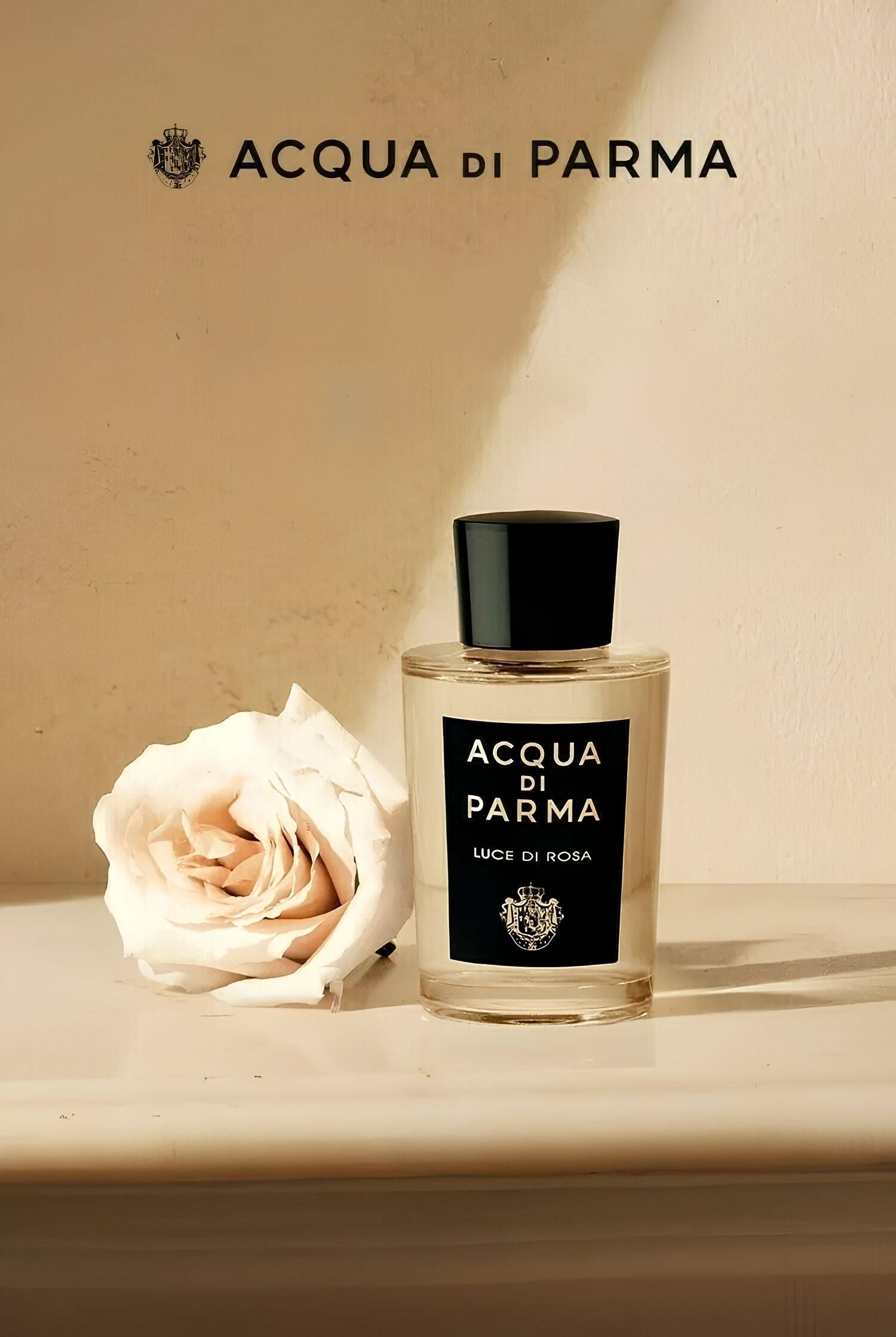 Acqua di Parma Luce Di Rosa New Fragrances