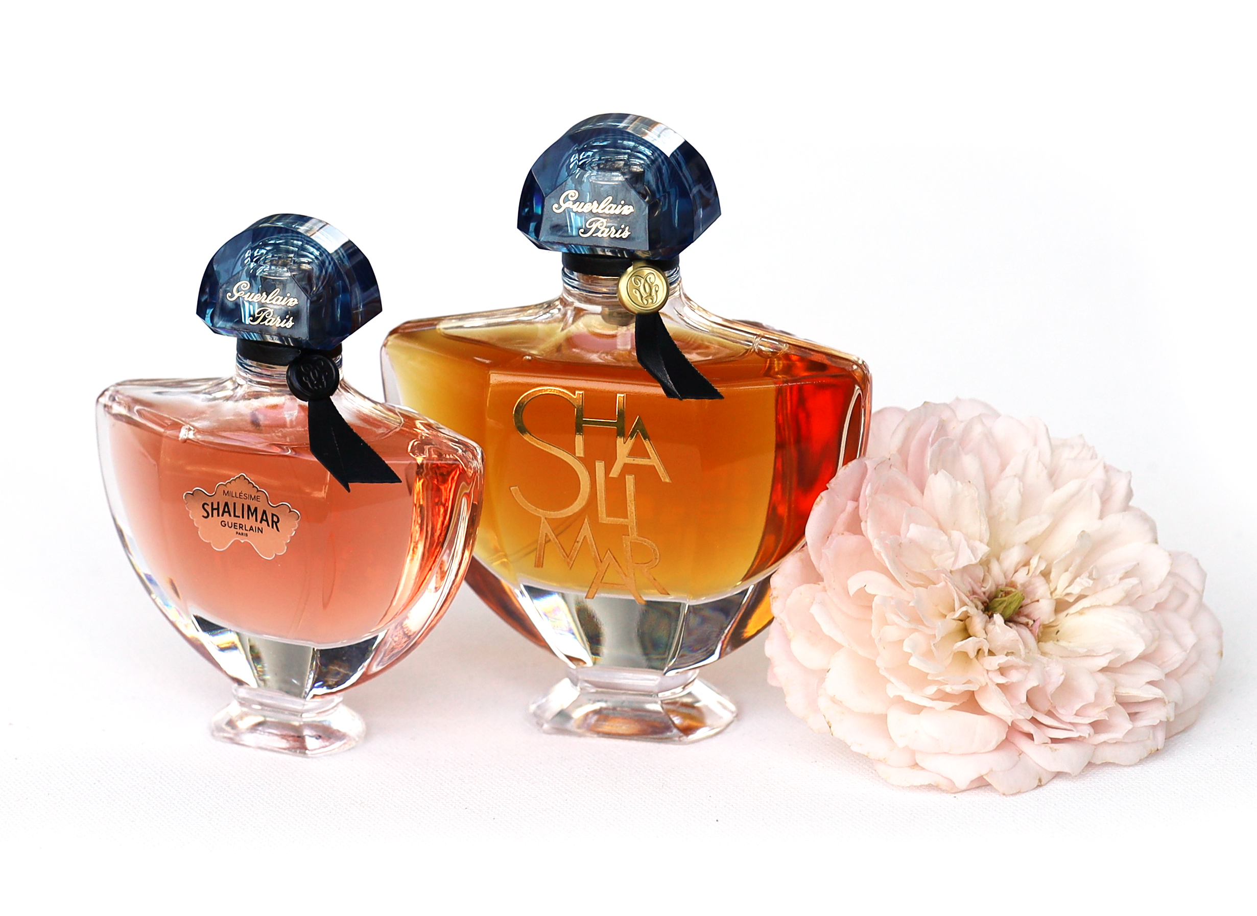 GuerlainのShalimar Millésime Rose – 結局のところShalimar