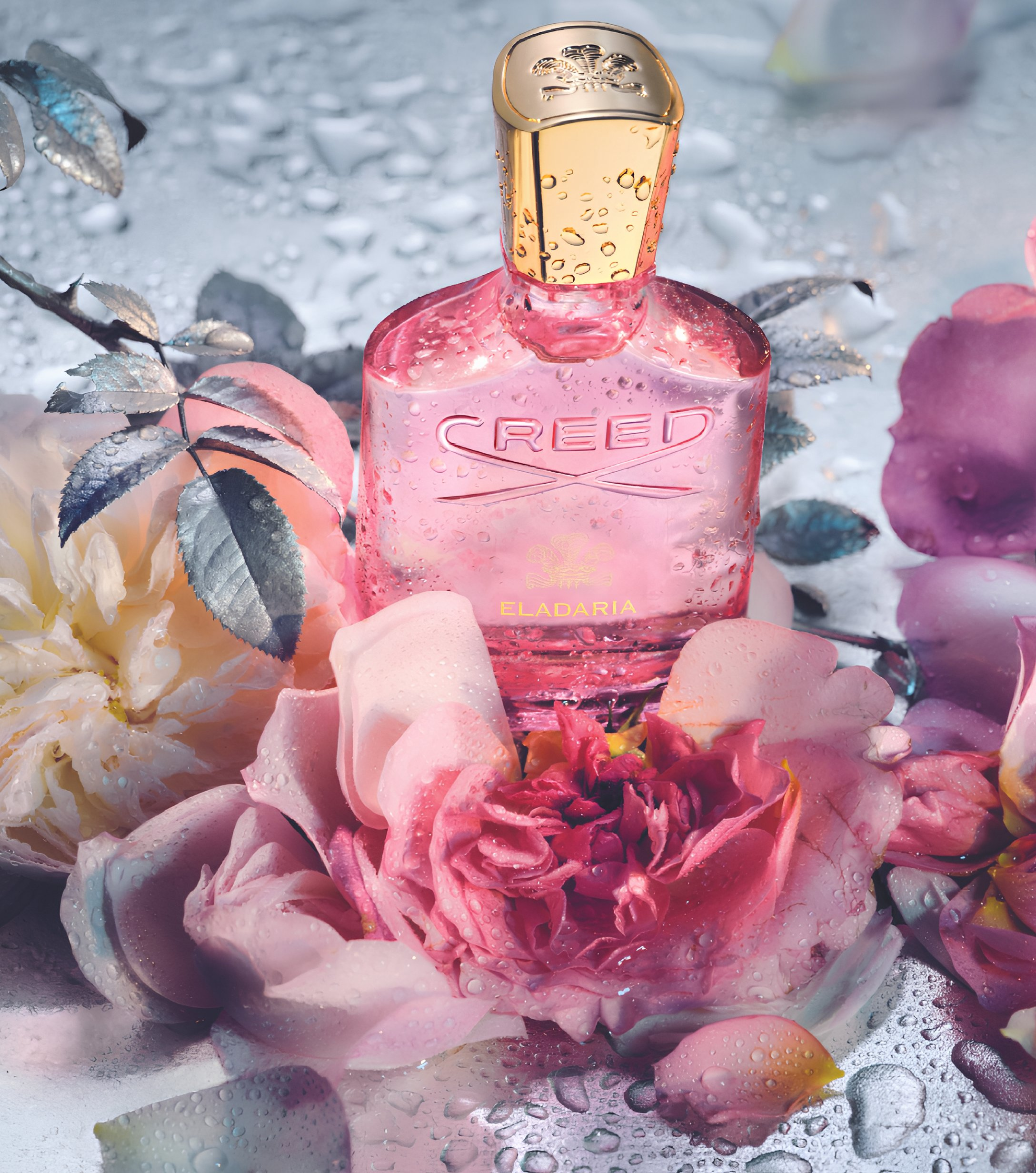 Eladaria by Creed on a grey backdrop with pink roses