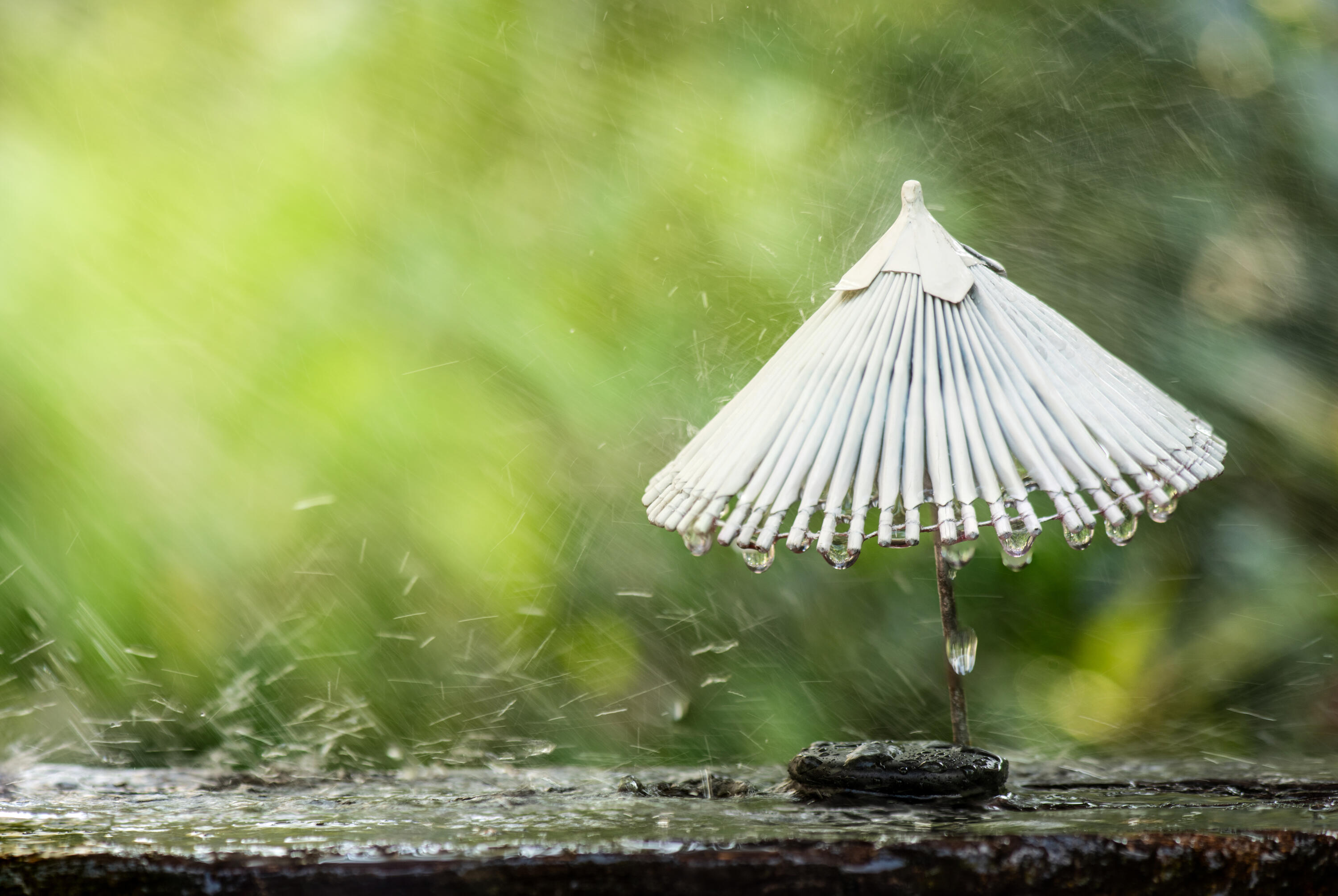 白い和傘の下の黒い石の場所、自然の背景に降る雨。Fukudo 坂本龍一 香水 浮香堂 龍一