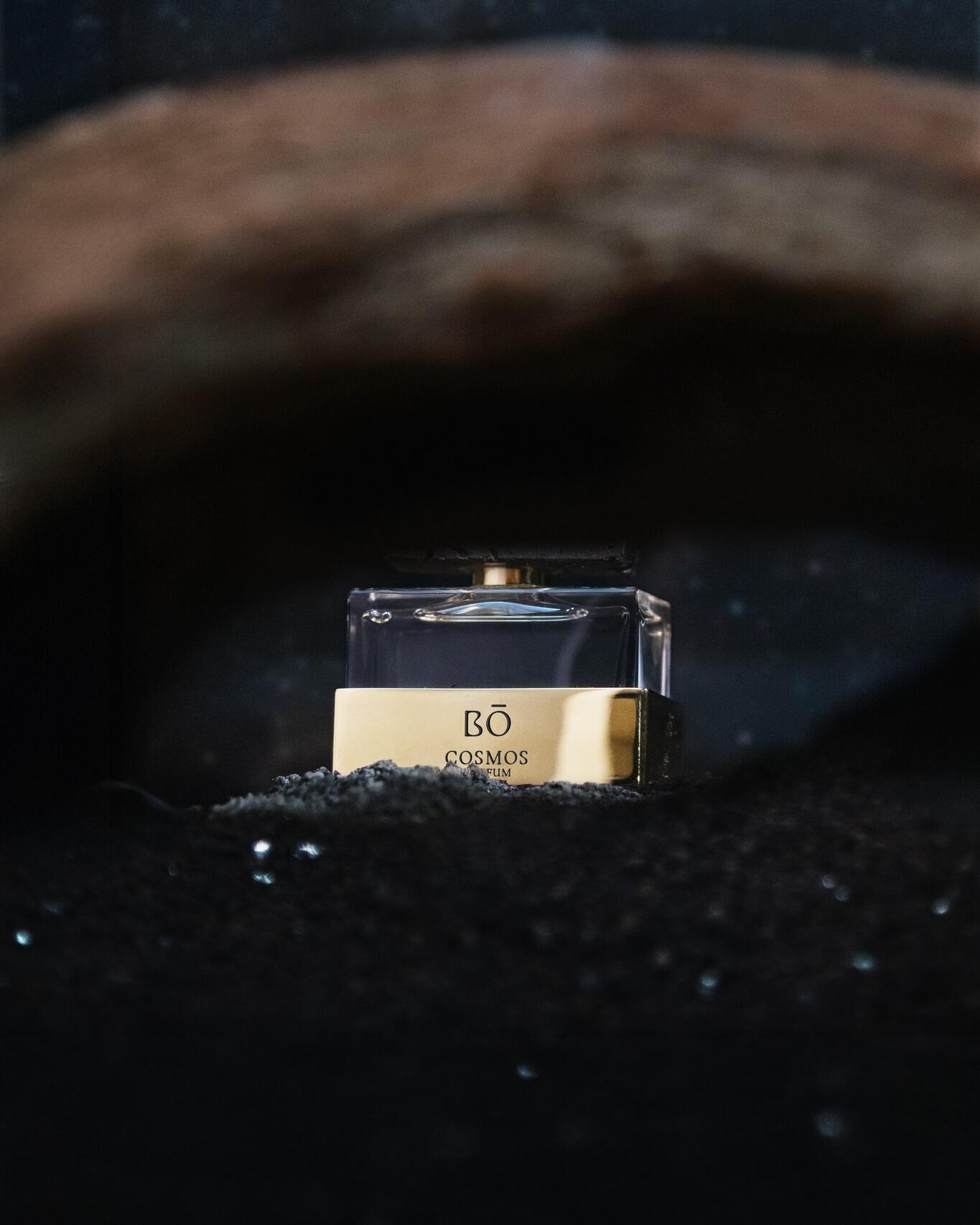 Cosmos by House of BO ad image